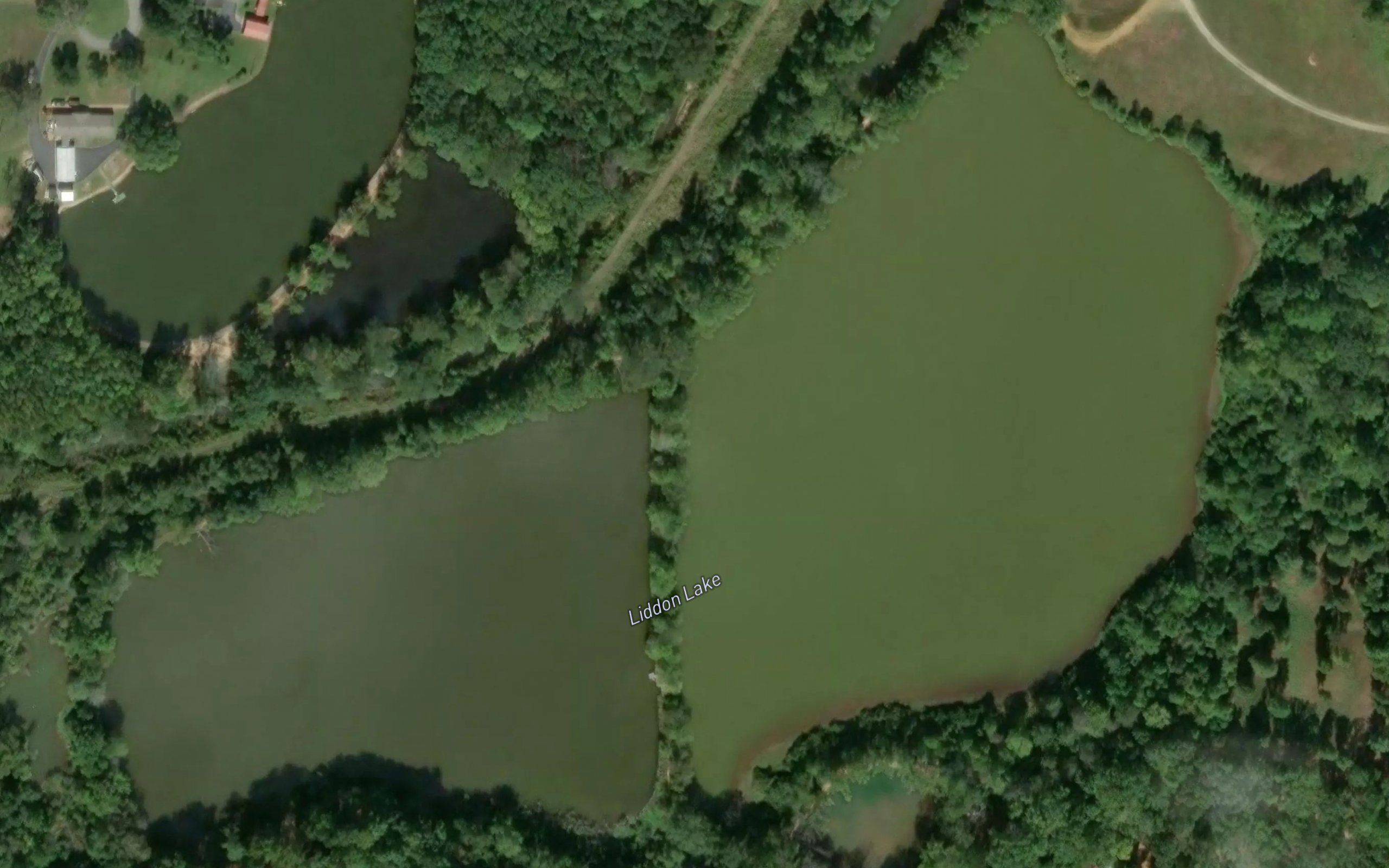 Liddon Lake
