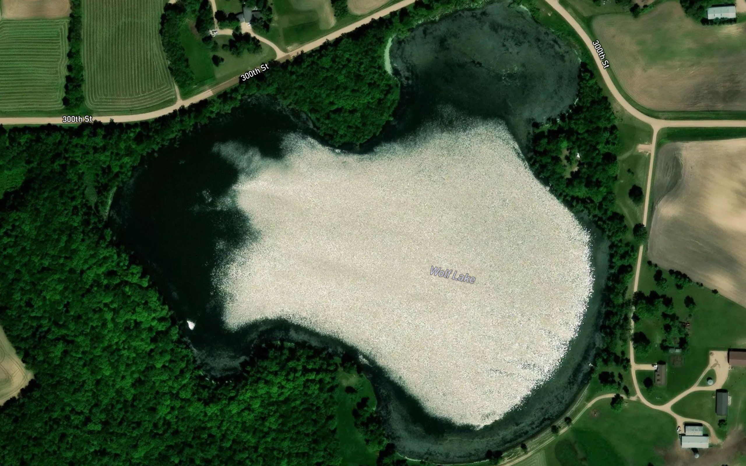 Wolf Lake