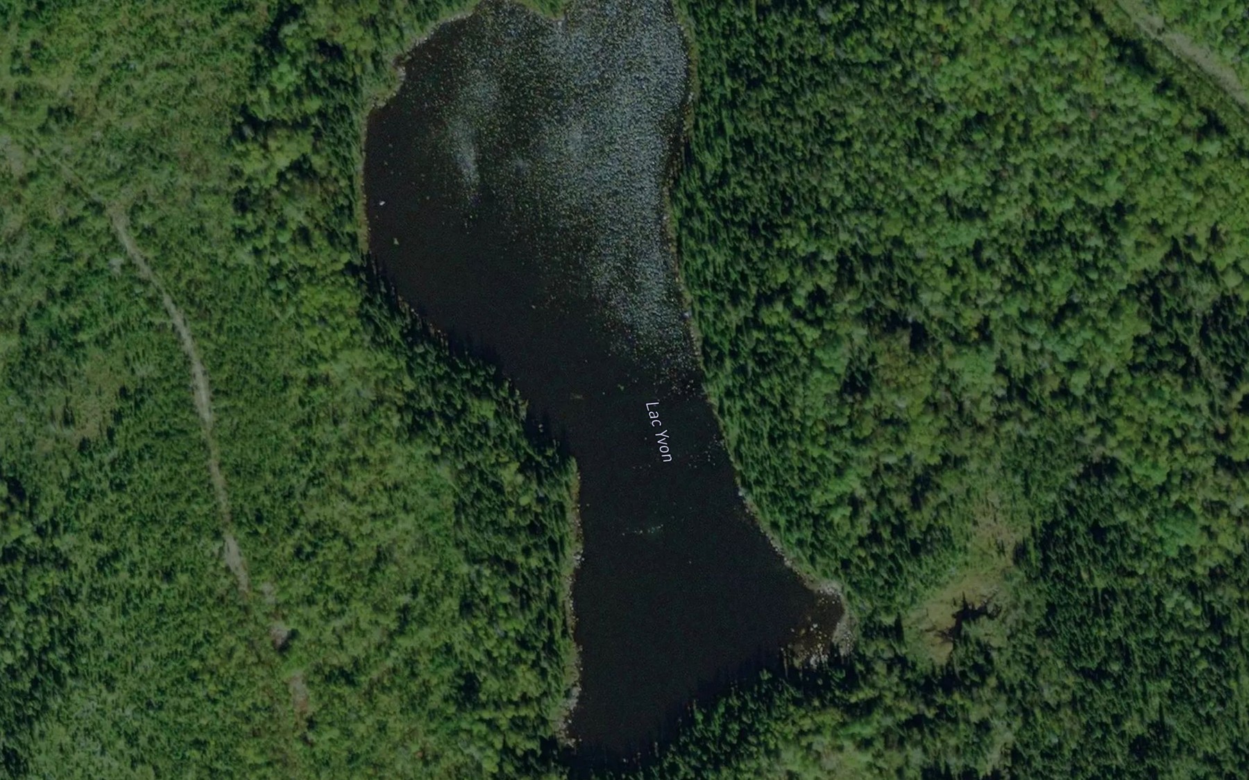 Satellite map of the Lac Yvon