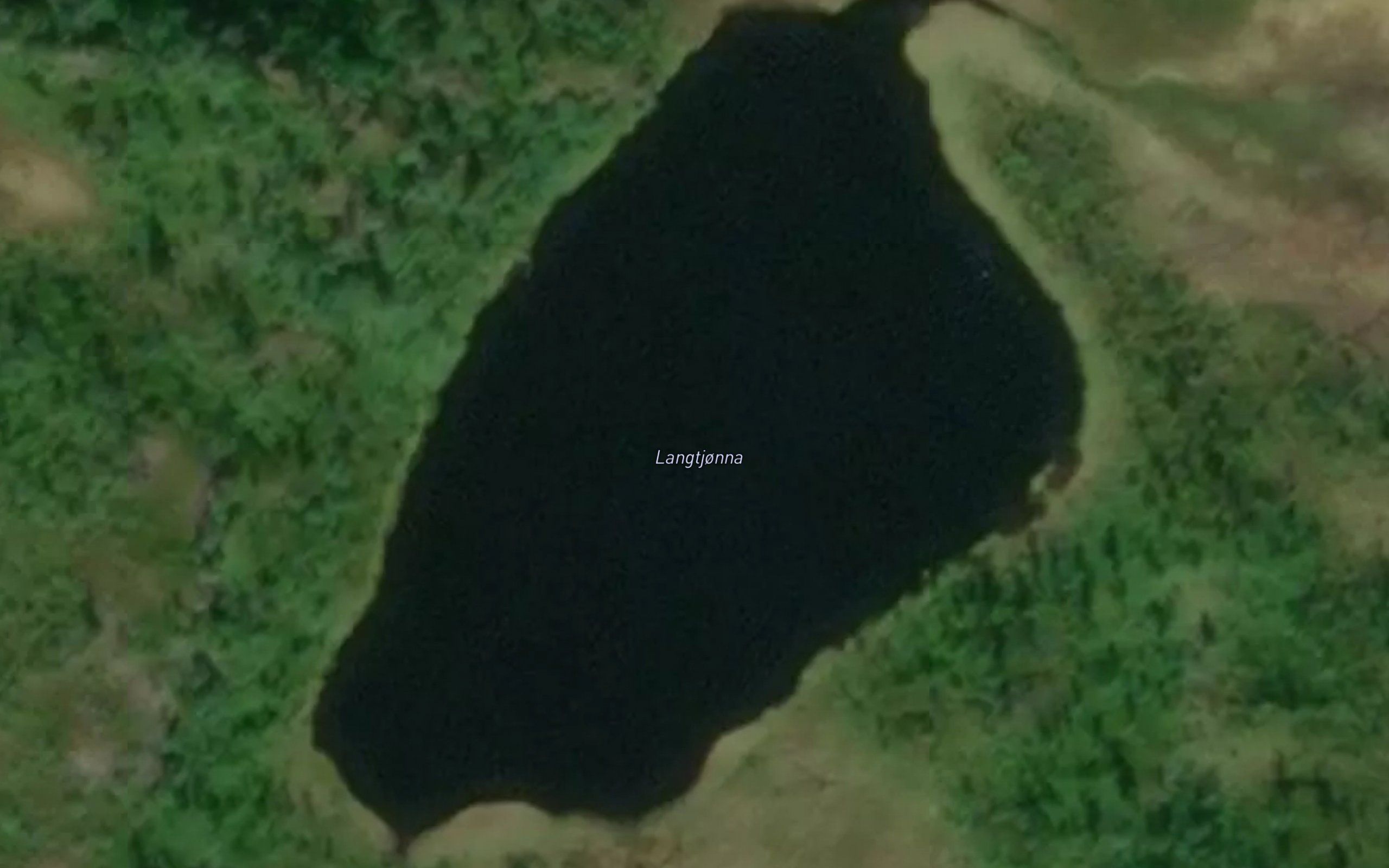 Langtjonna