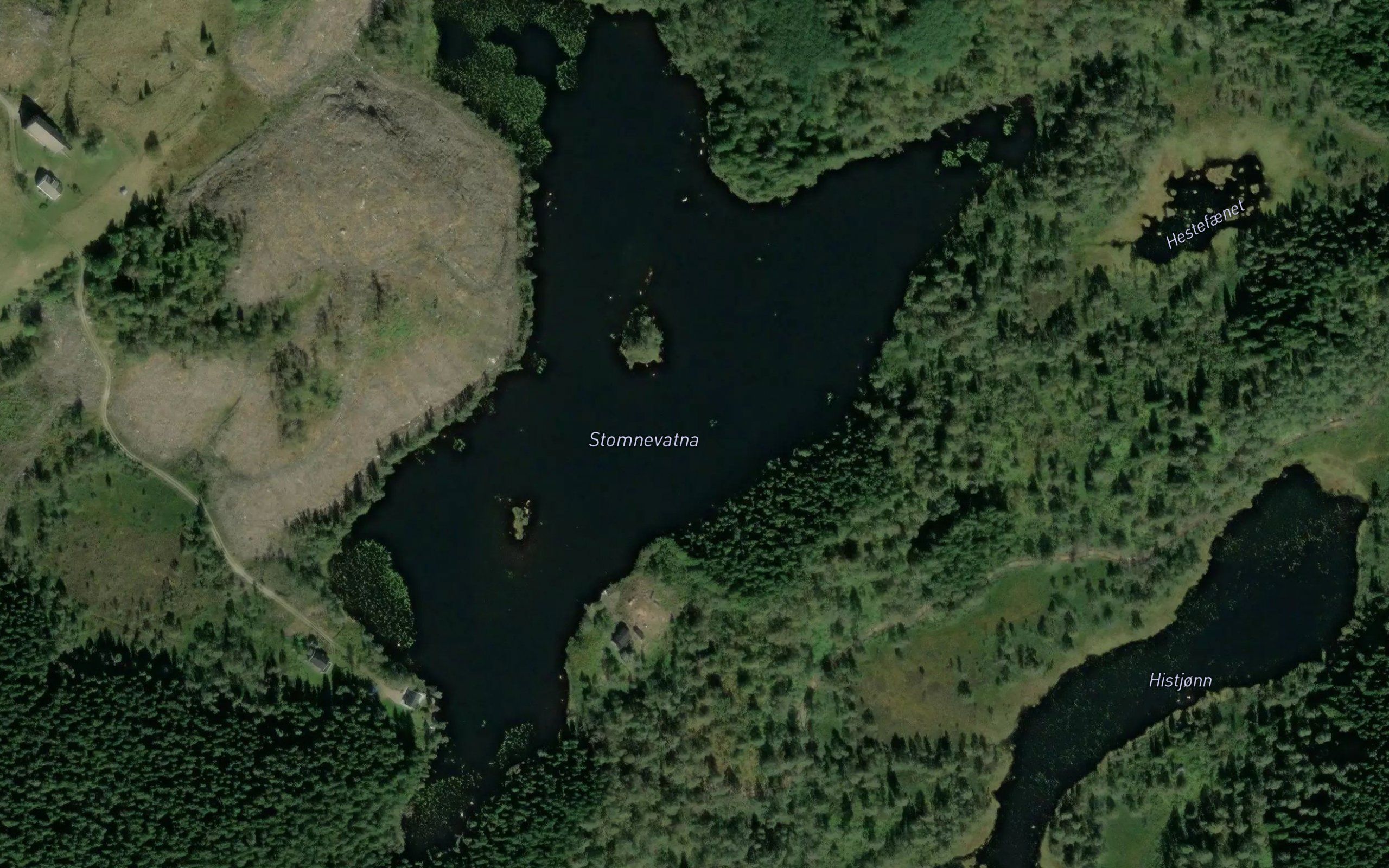 Stomnevatna