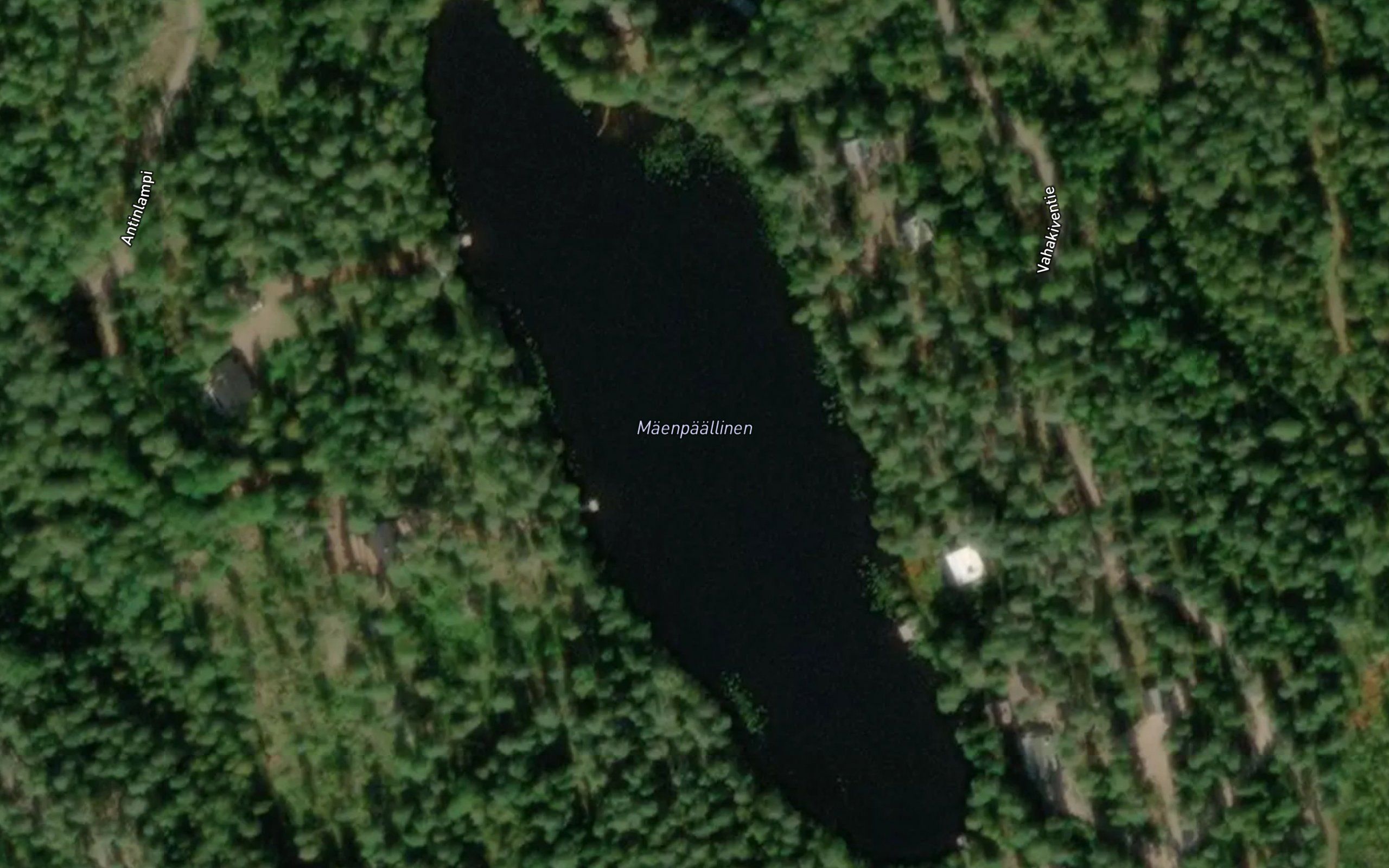 Maenpaallinen
