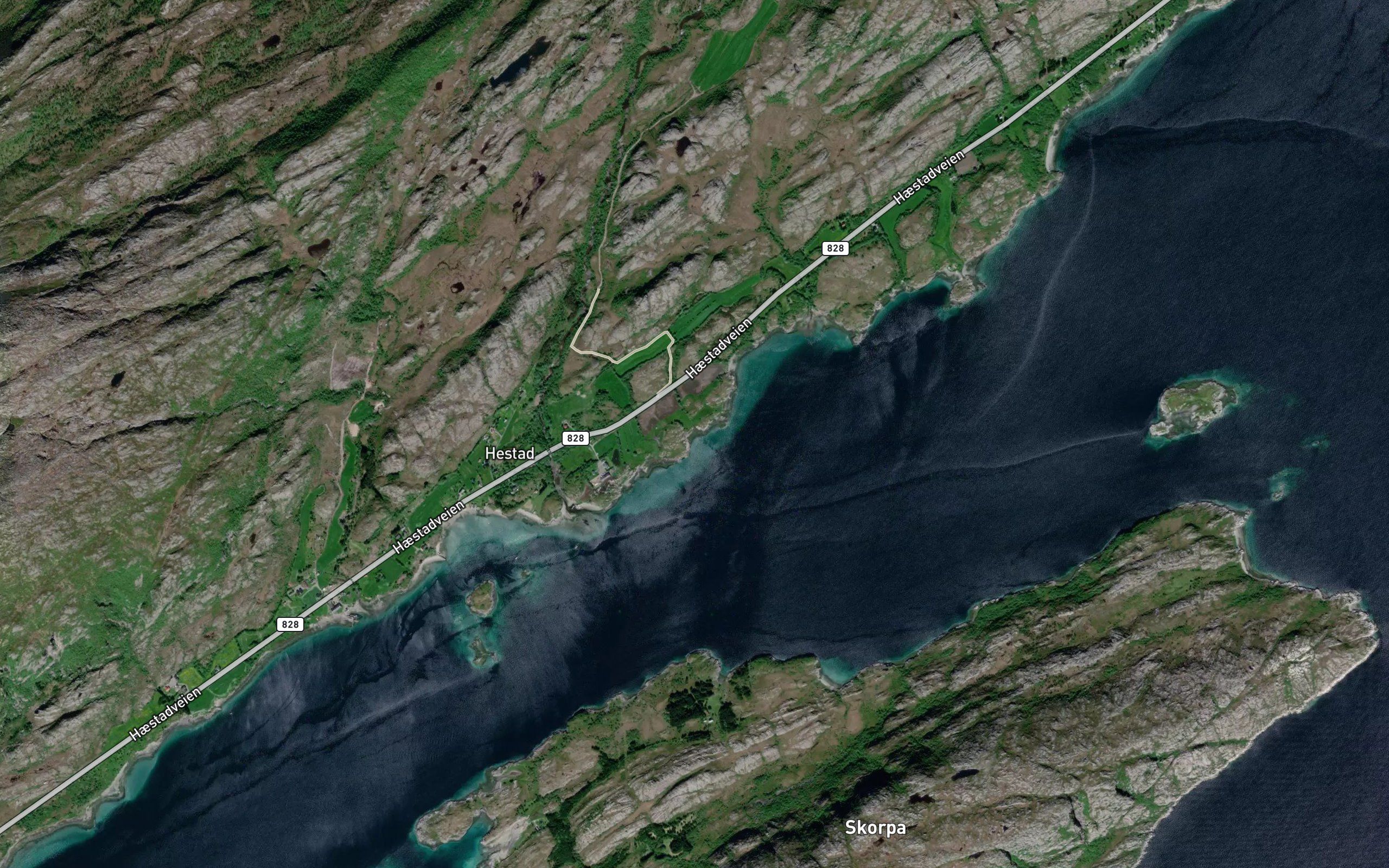 Vakkervikja