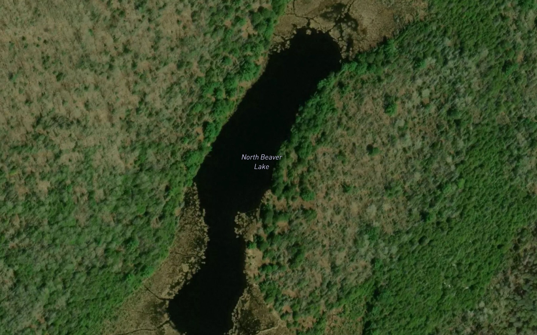 Satellite map of the North Beaver Lake