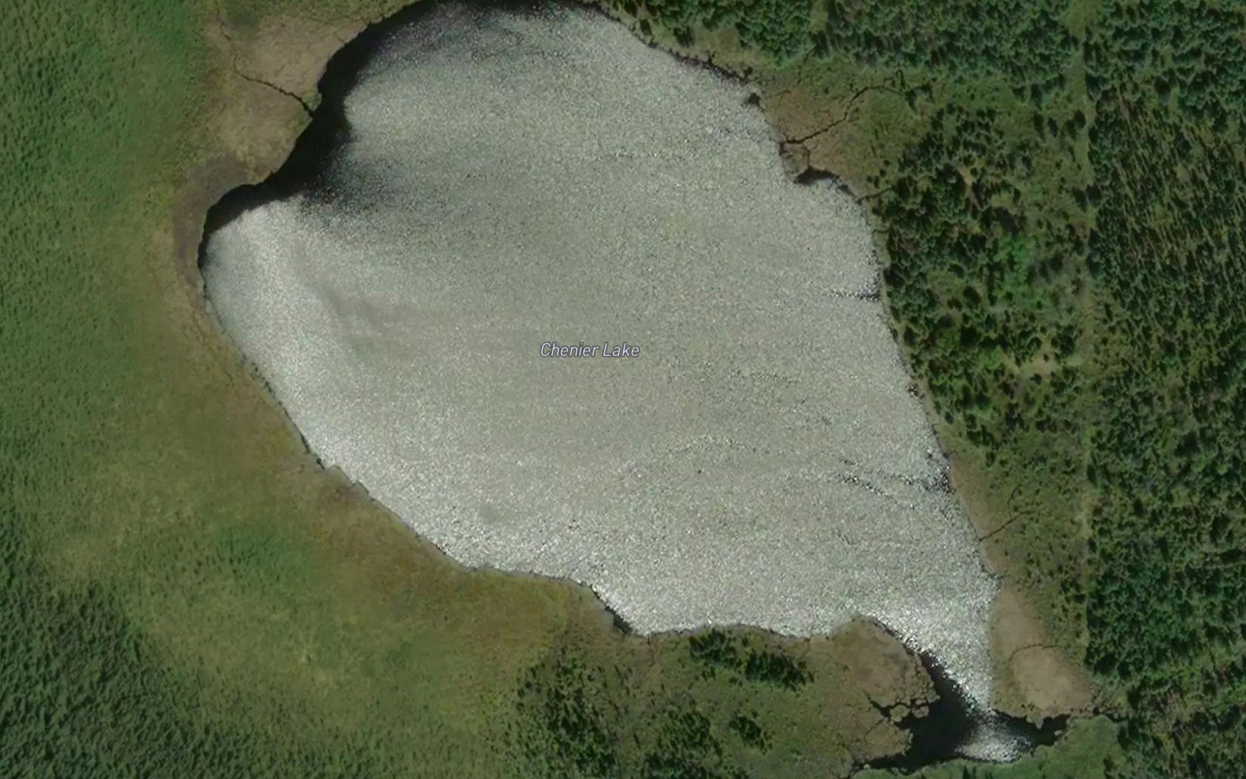 Satellite map of the Chenier Lake