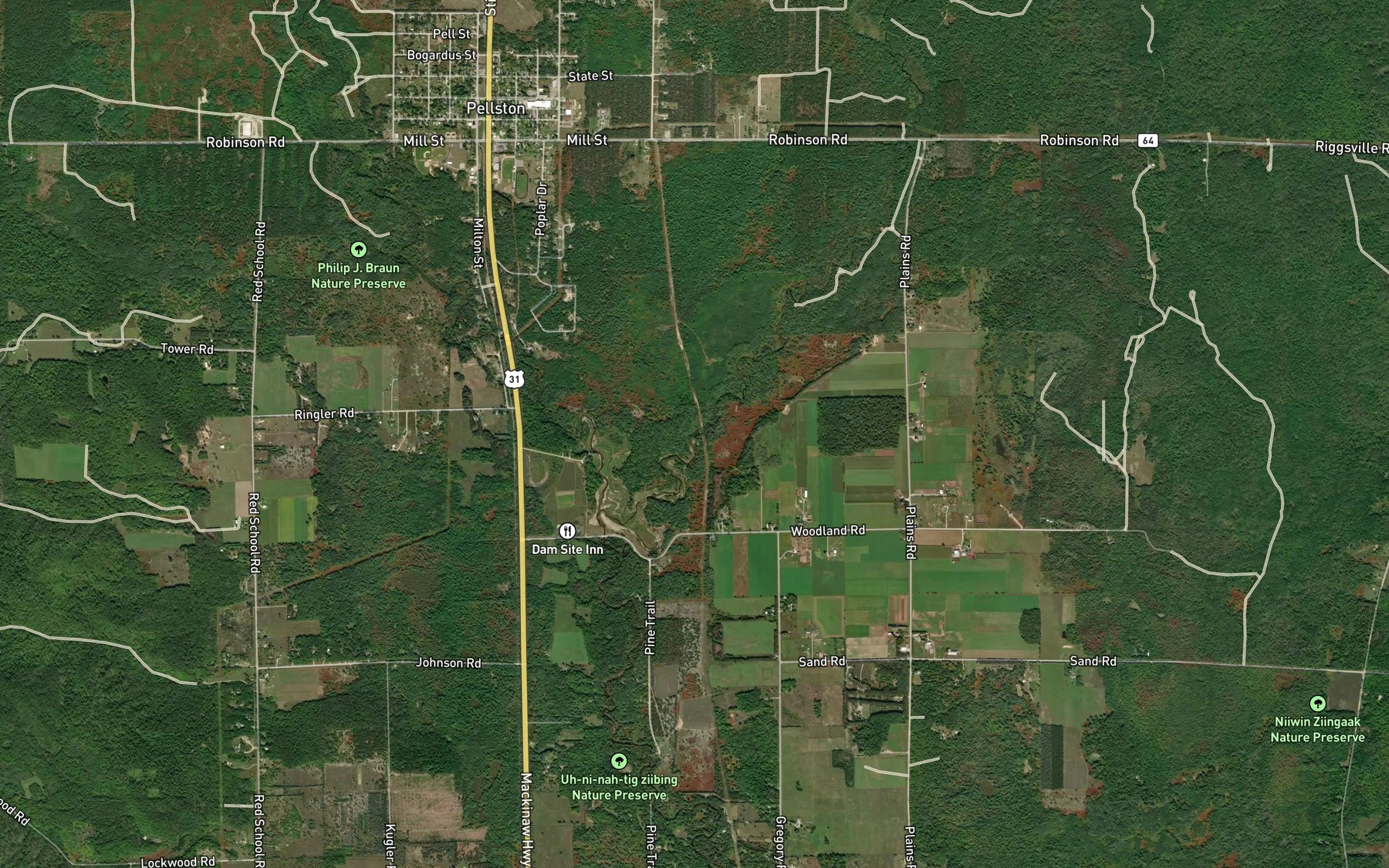 Satellite map of the East Branch Maple River