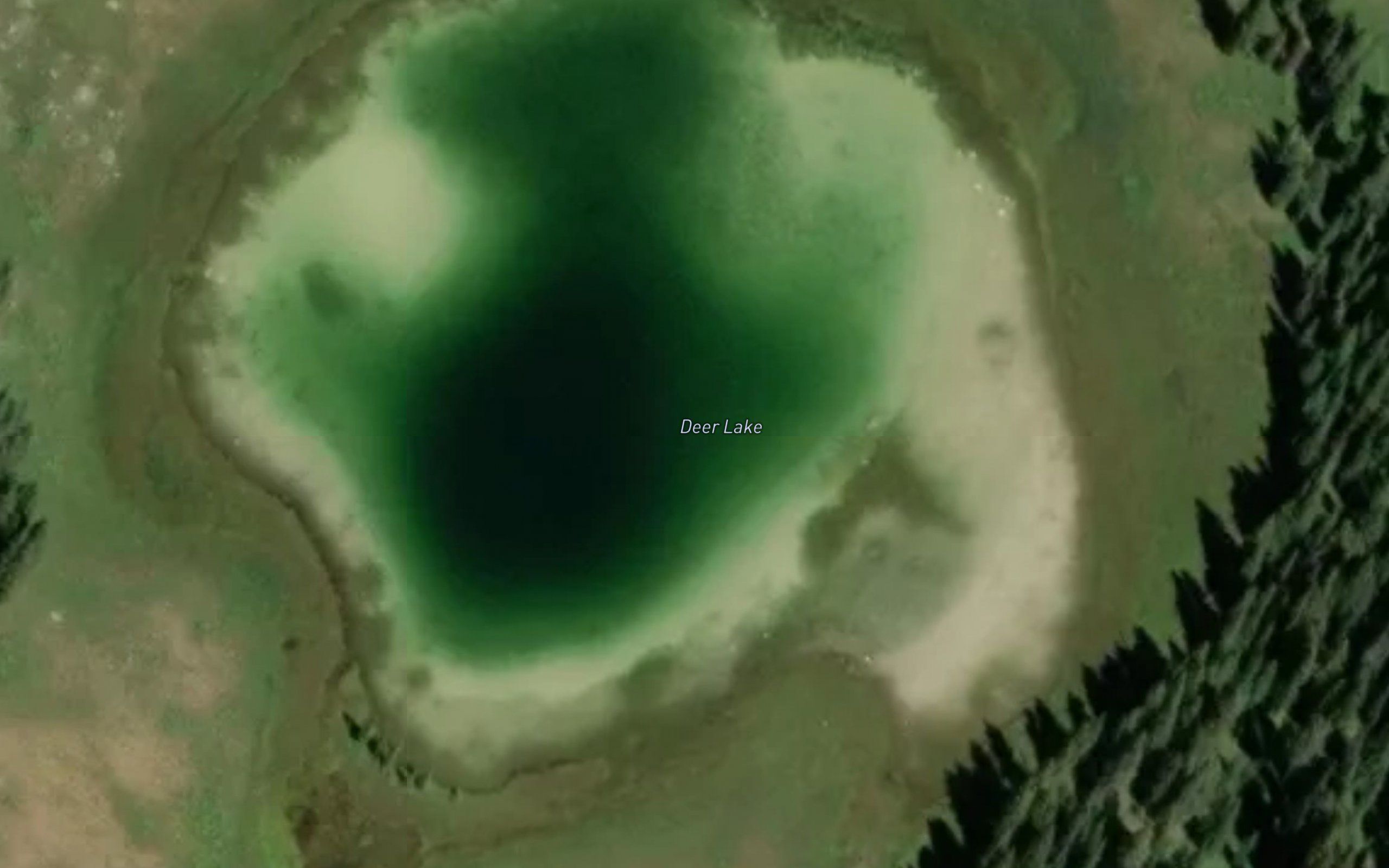 Deer Lake