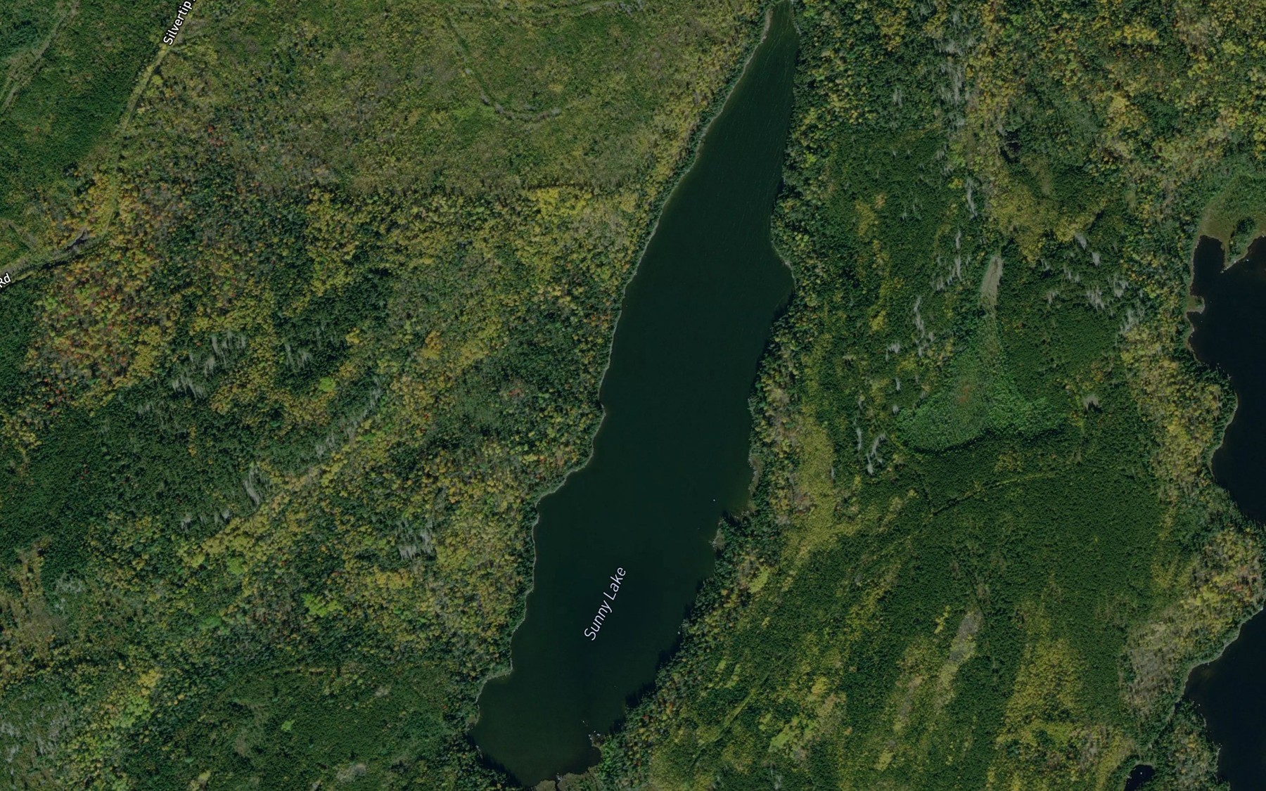 Satellite map of the Sunny Lake