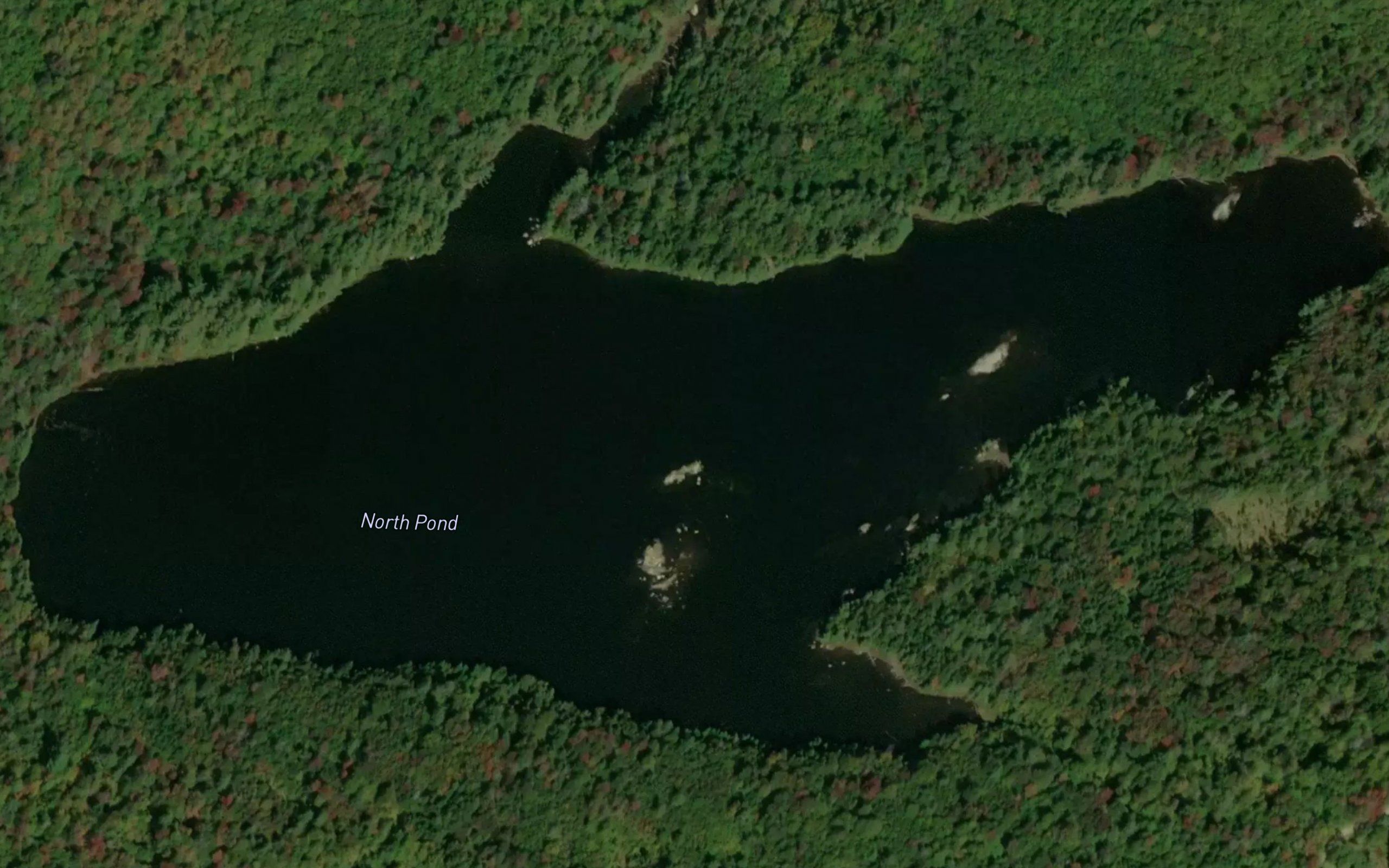 North Pond