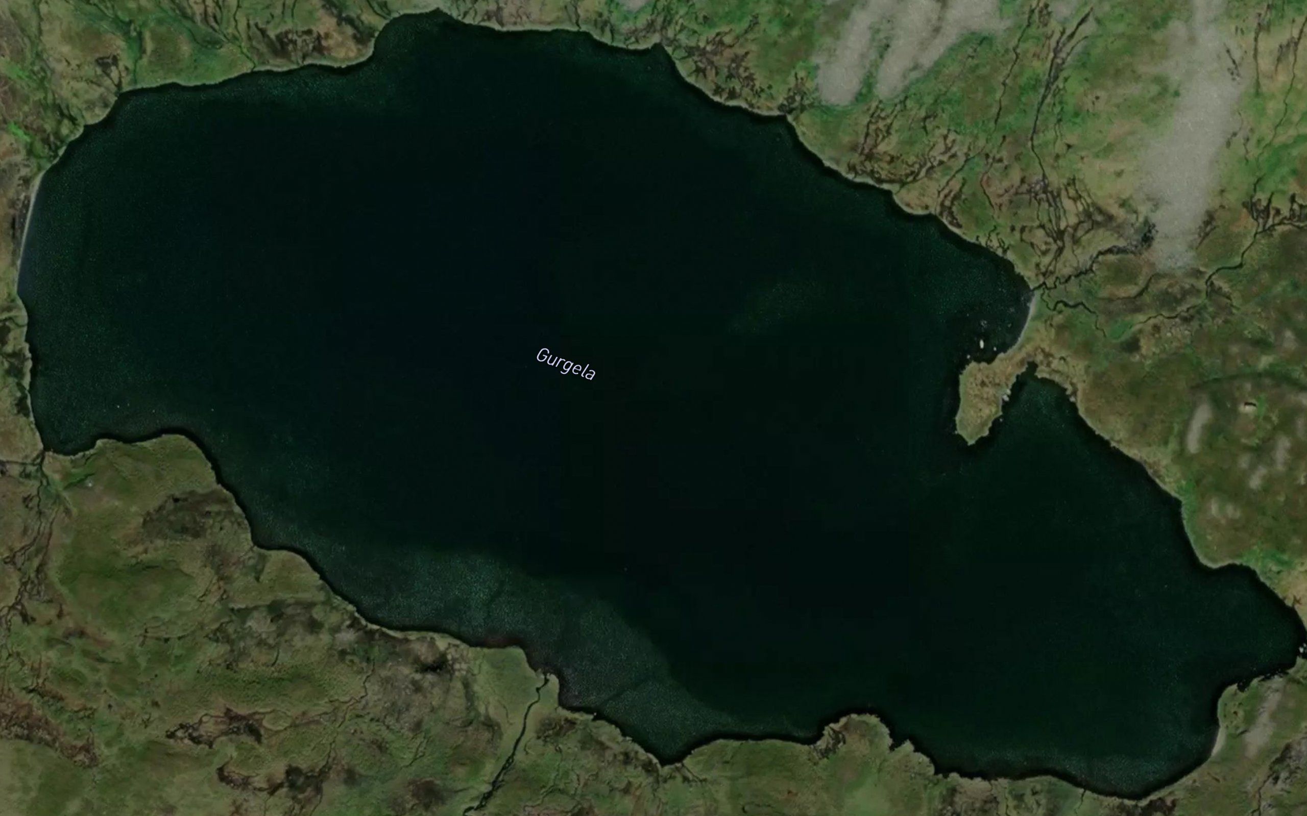 Gurgela