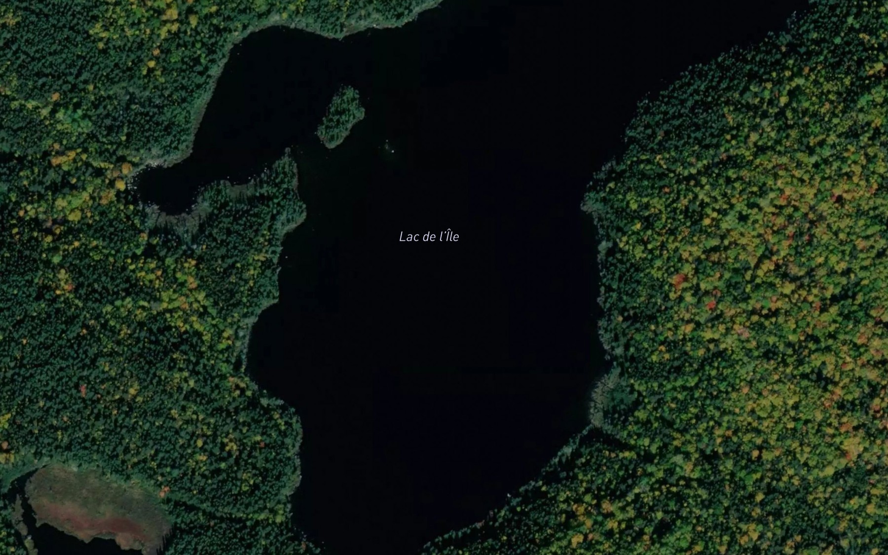 Satellite map of the Lac de l'Ile