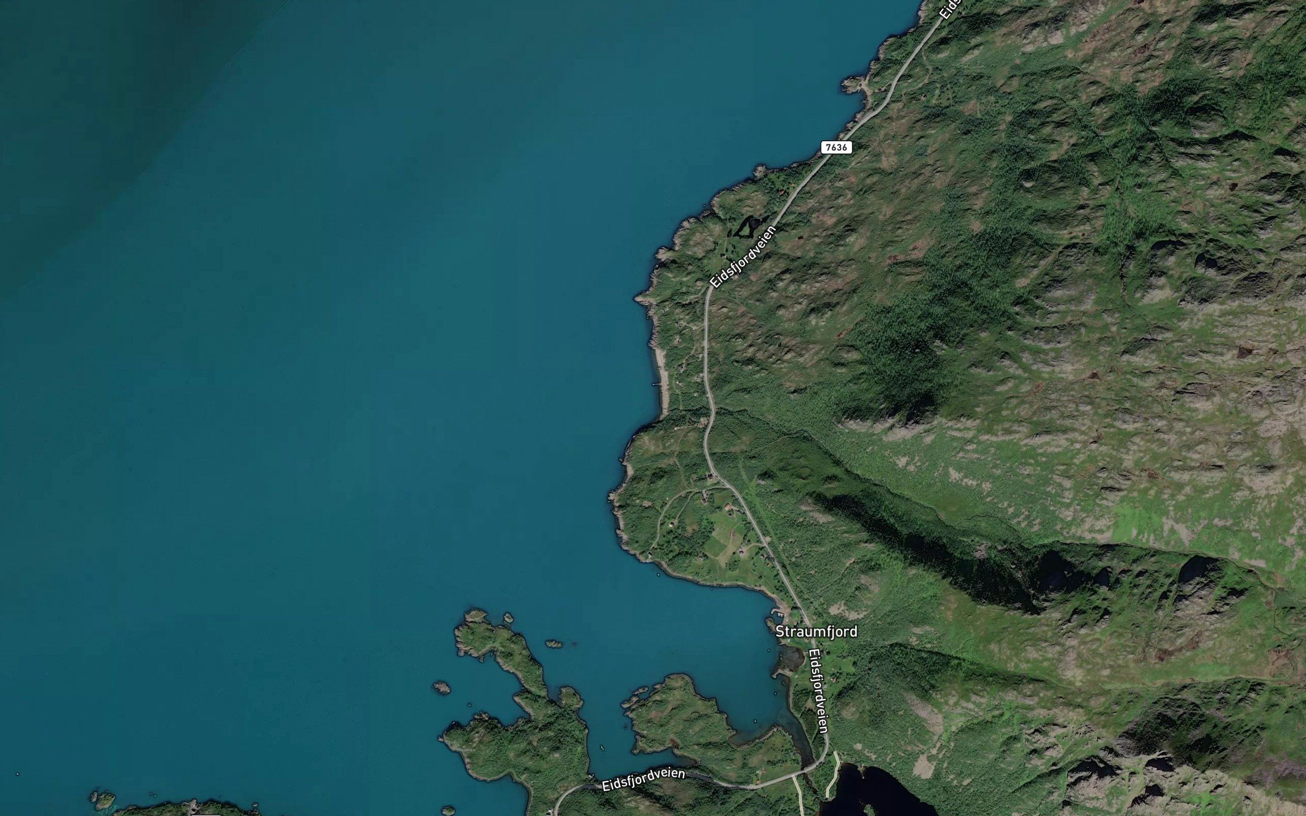 Molvika