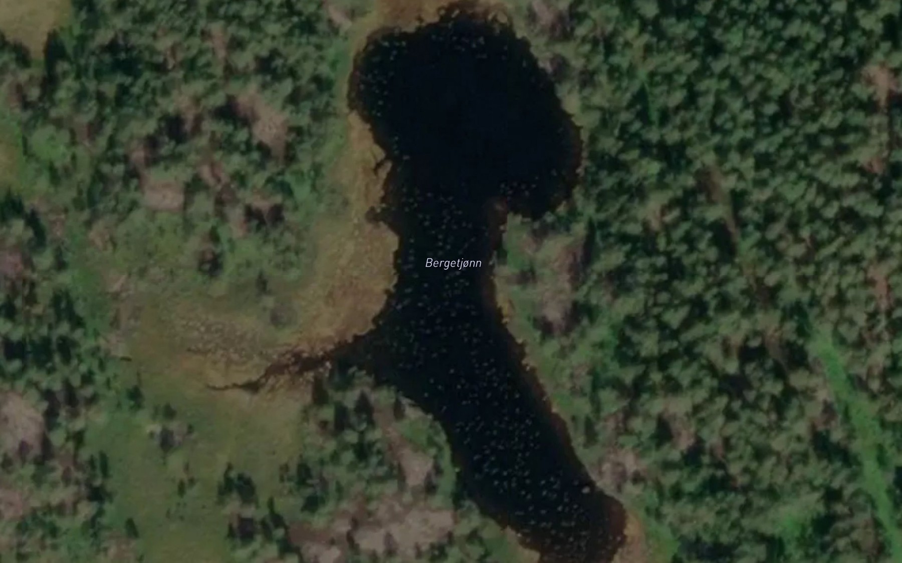Satellite map of the Bergetjonn