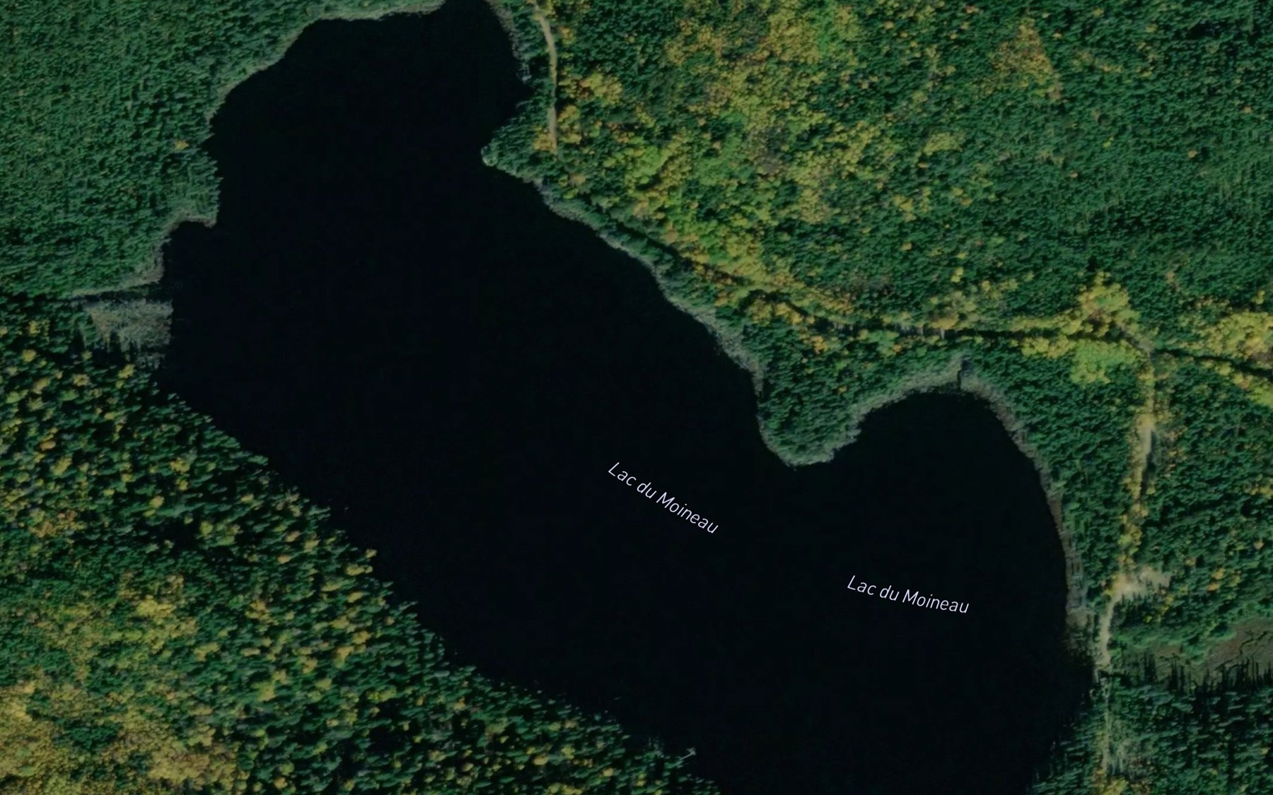Satellite map of the Lac du Moineau