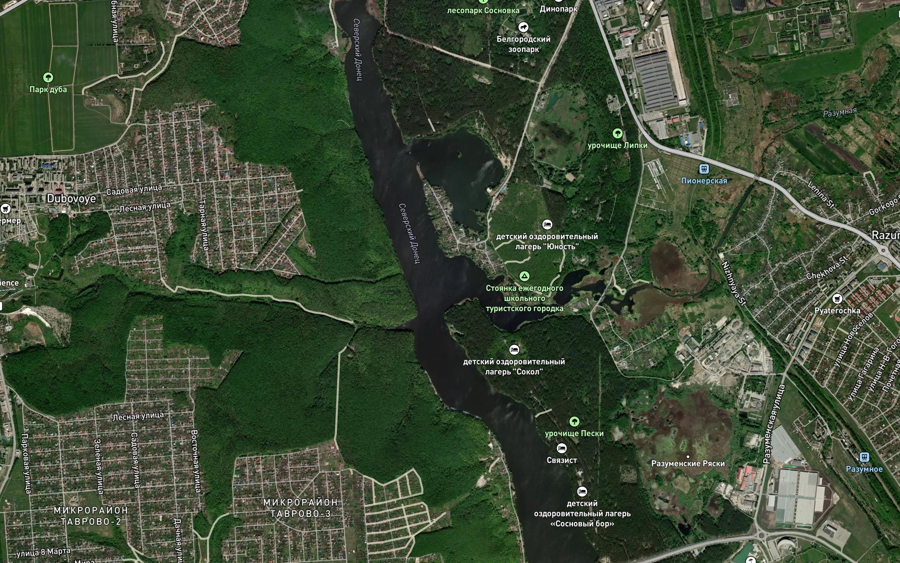 Satellite map of the Razumnaya