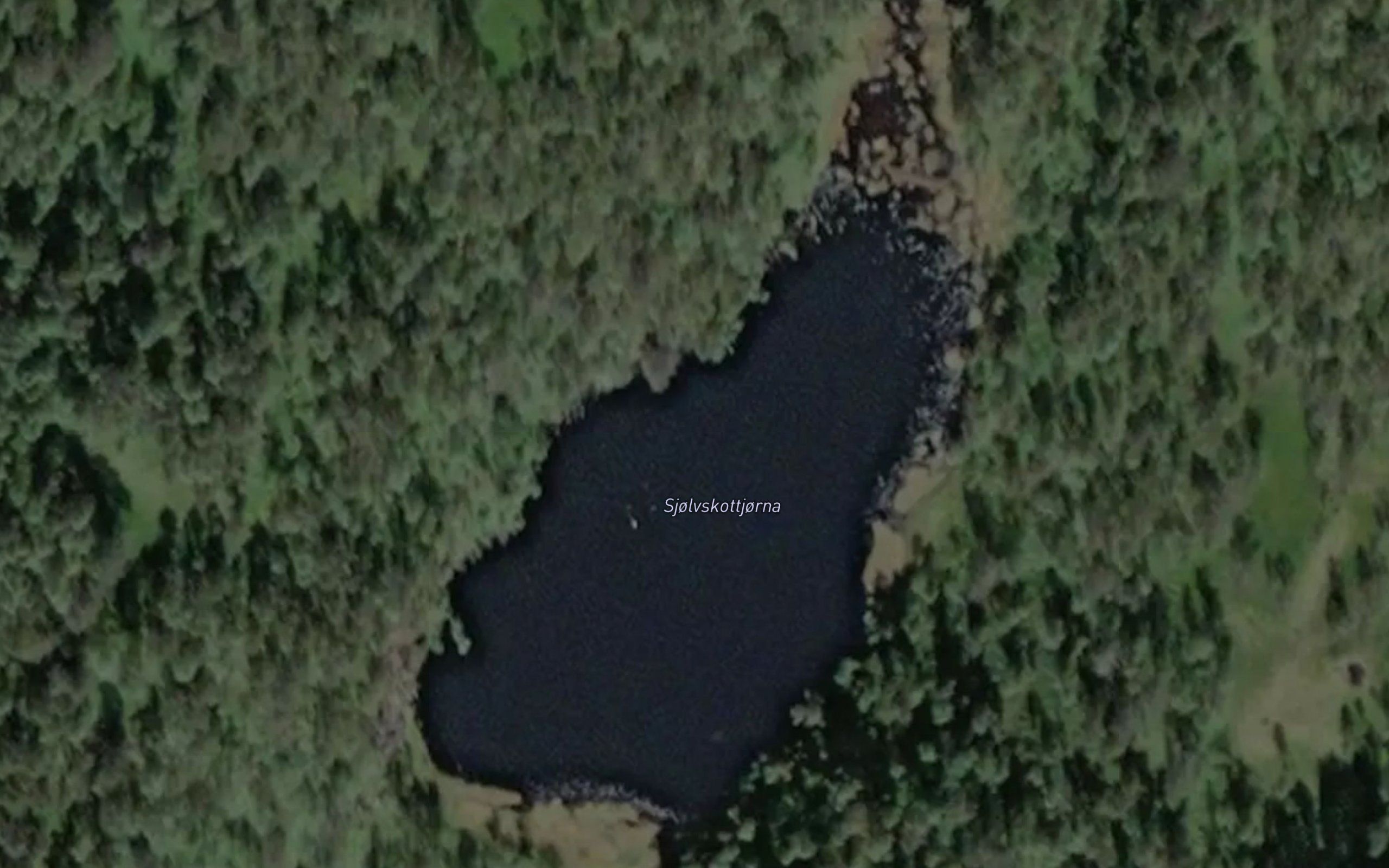 Sjolvskottjorna