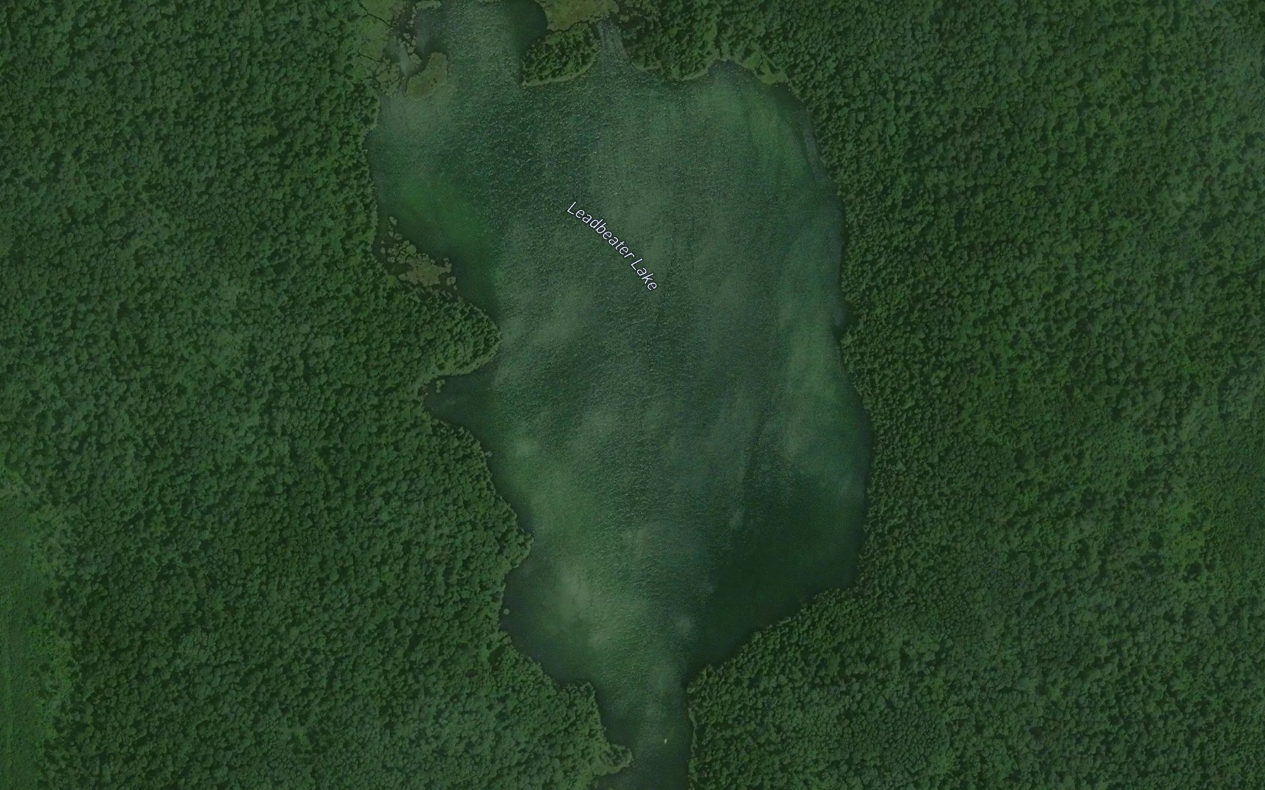 Satellite map of the Leadbeater Lake