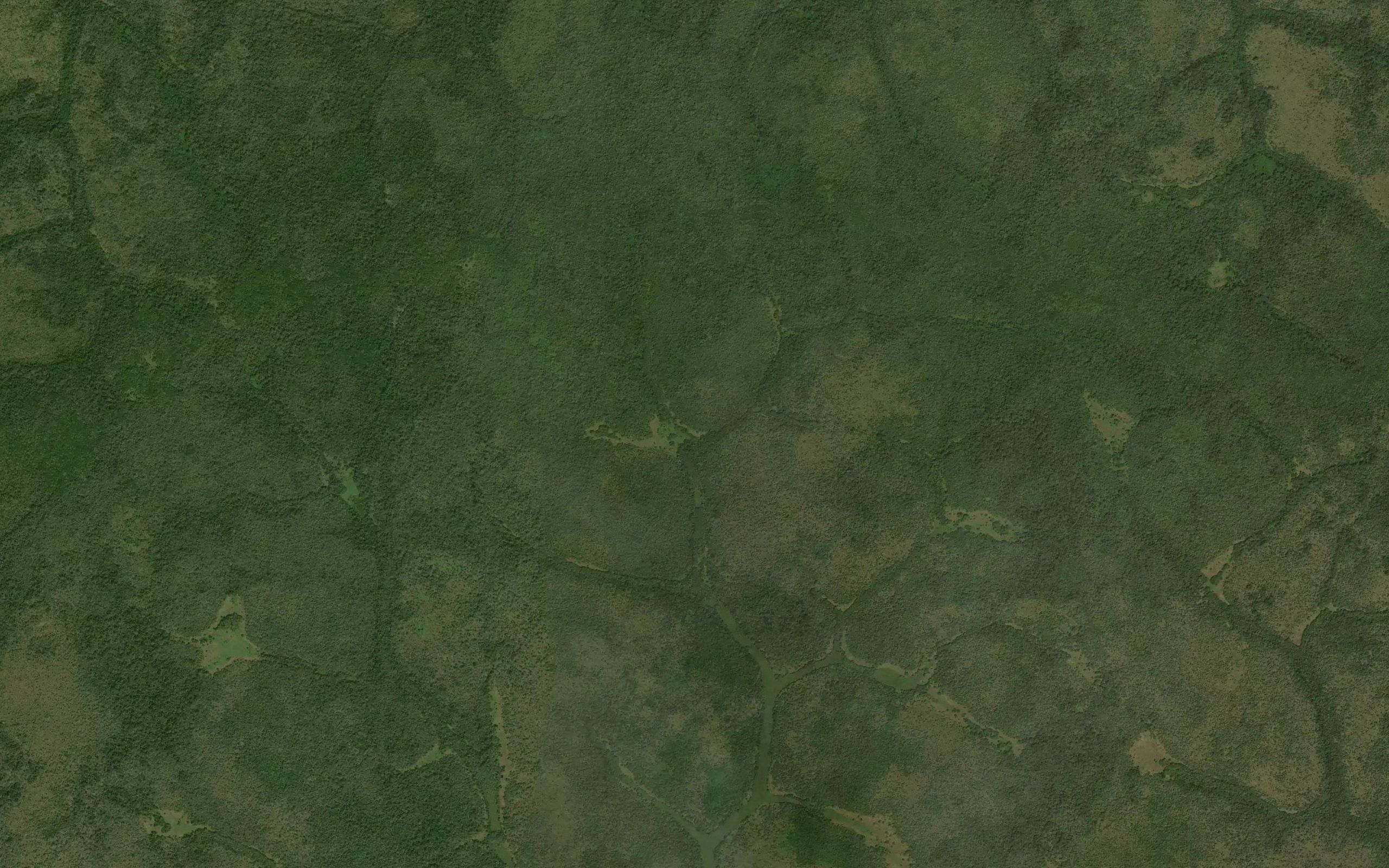 Njere