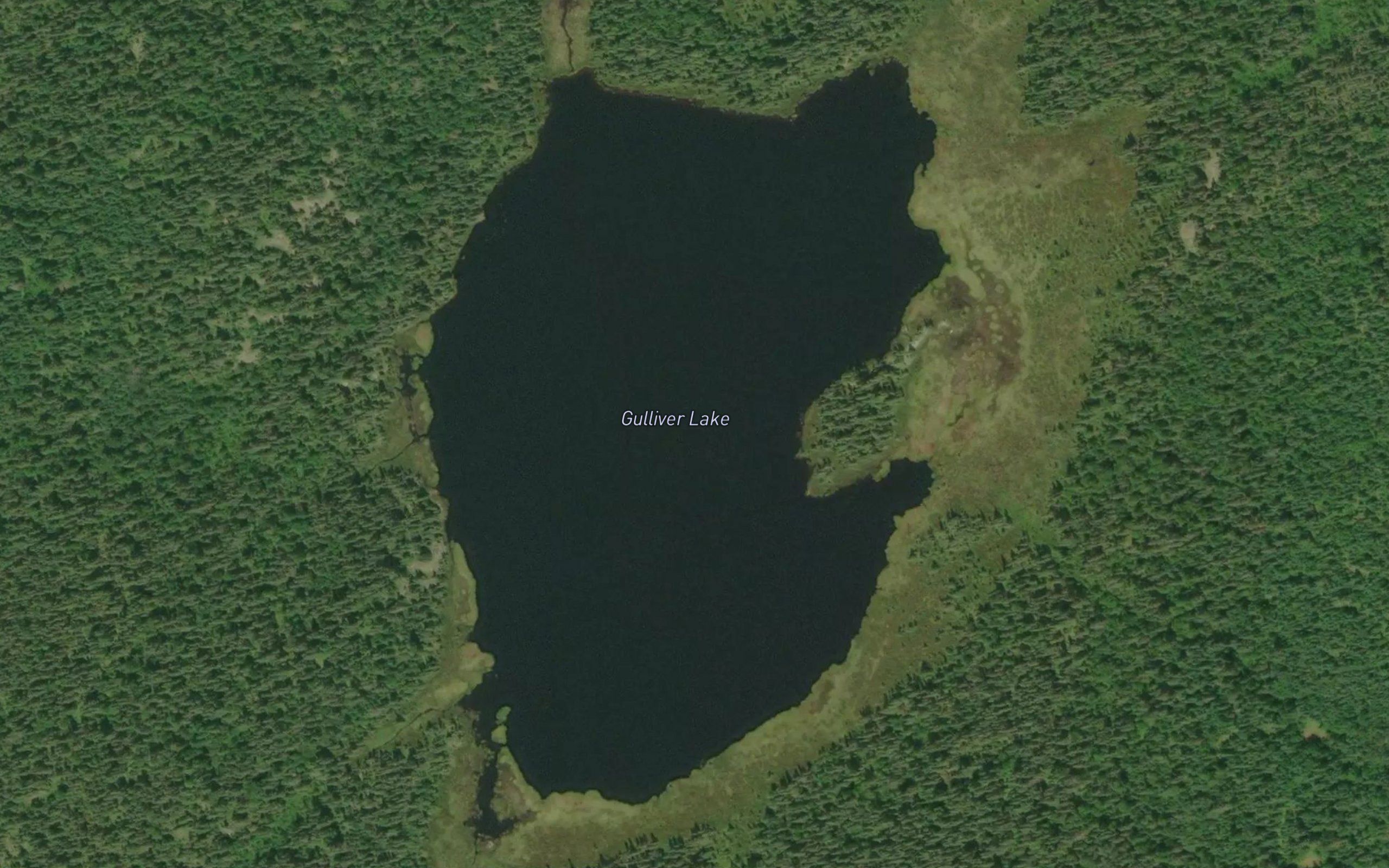 Gulliver Lake