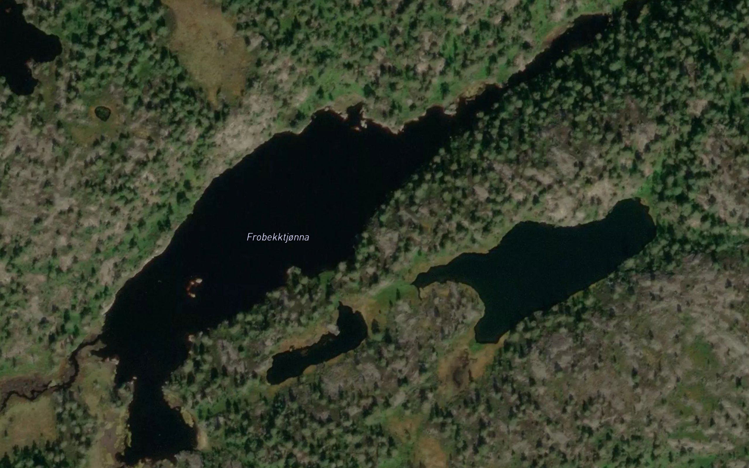 Frobekktjorna