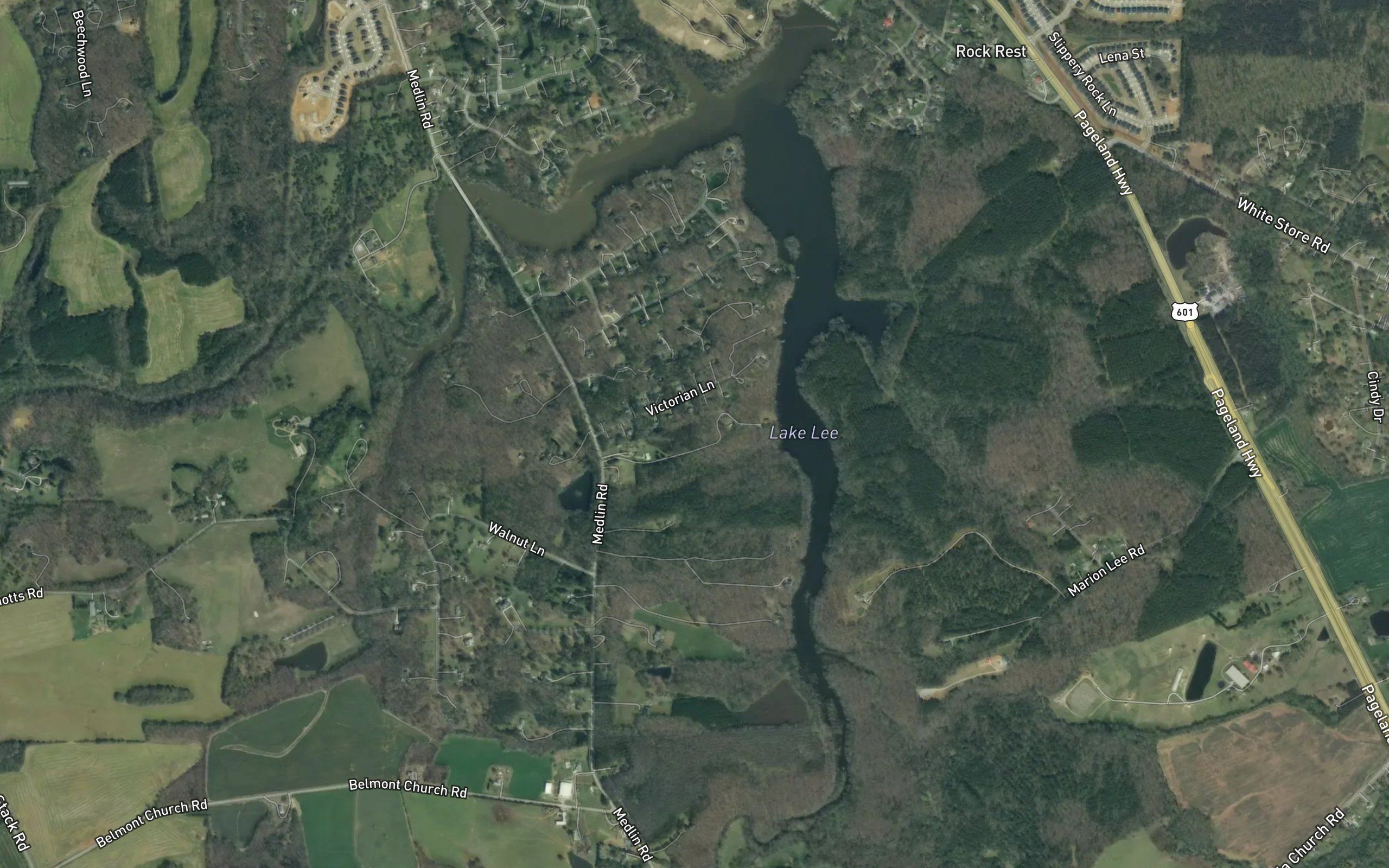 Lake Lee