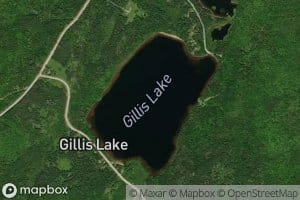 Gillis Lake
