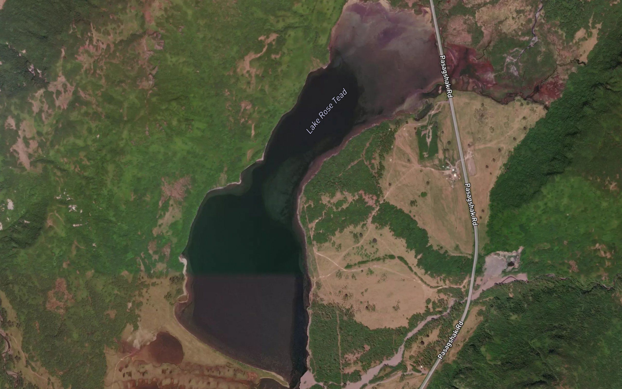 Lake Rose Teed