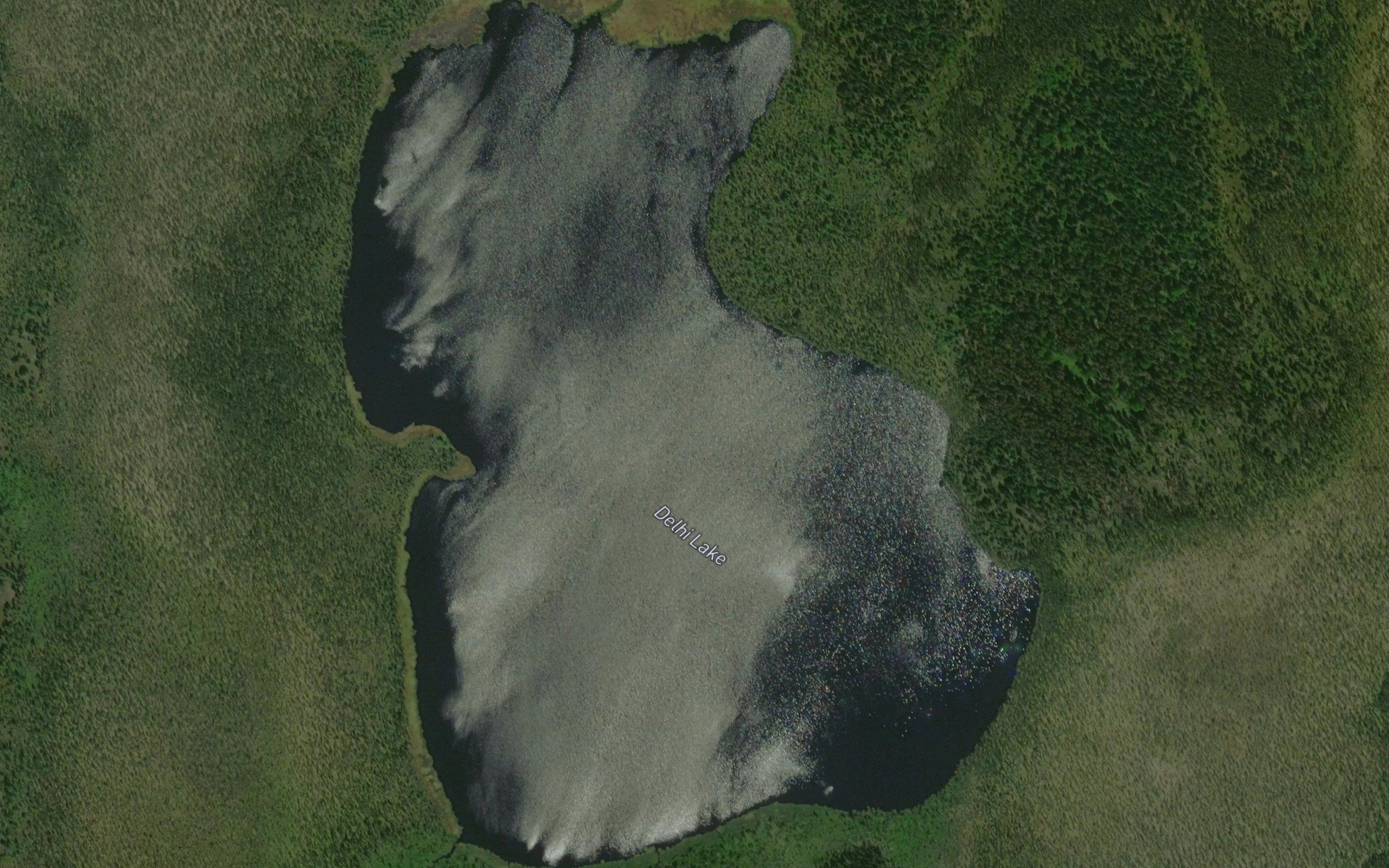 Delhi Lake