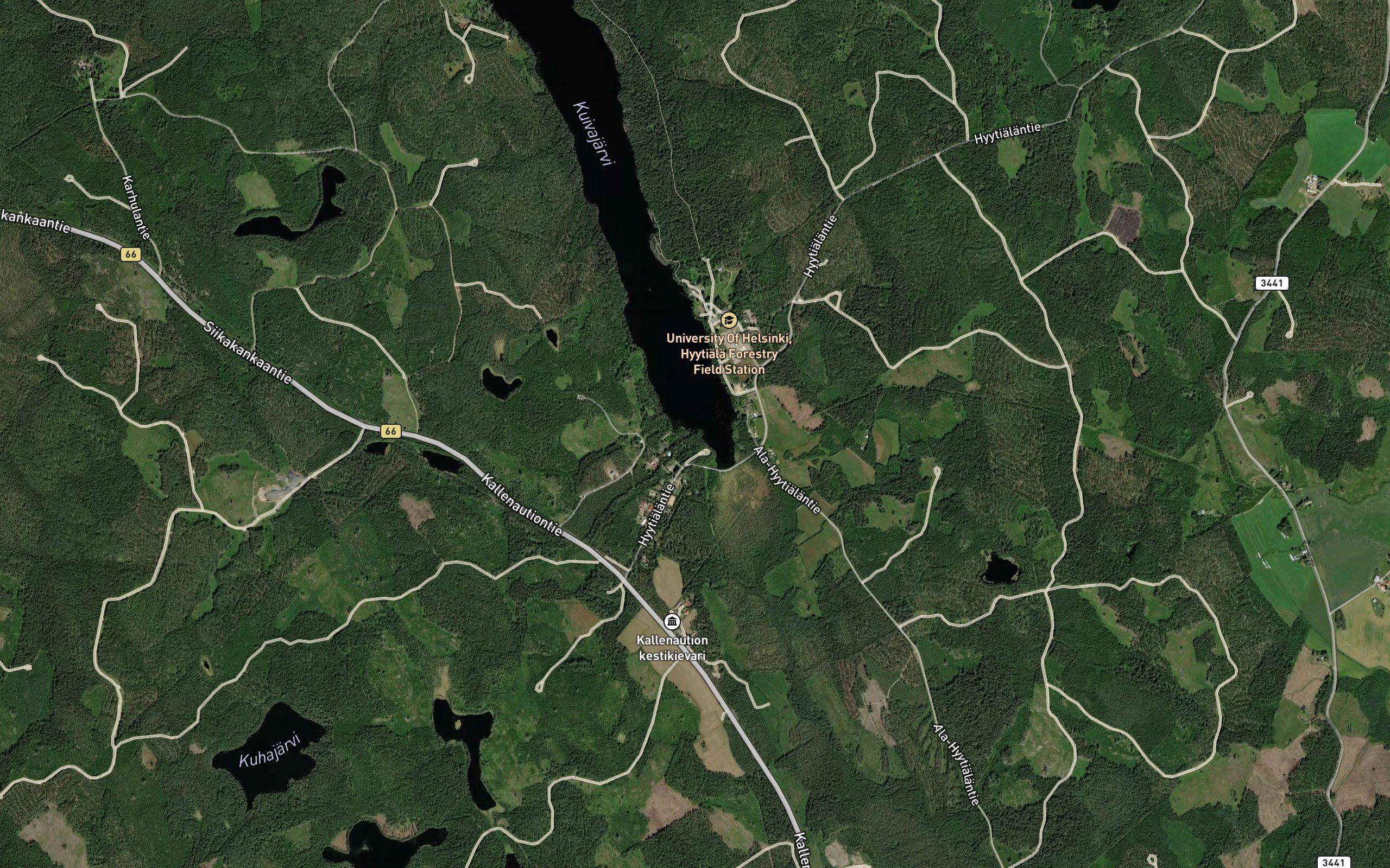 Mammioja
