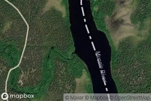 Suopatusjoki