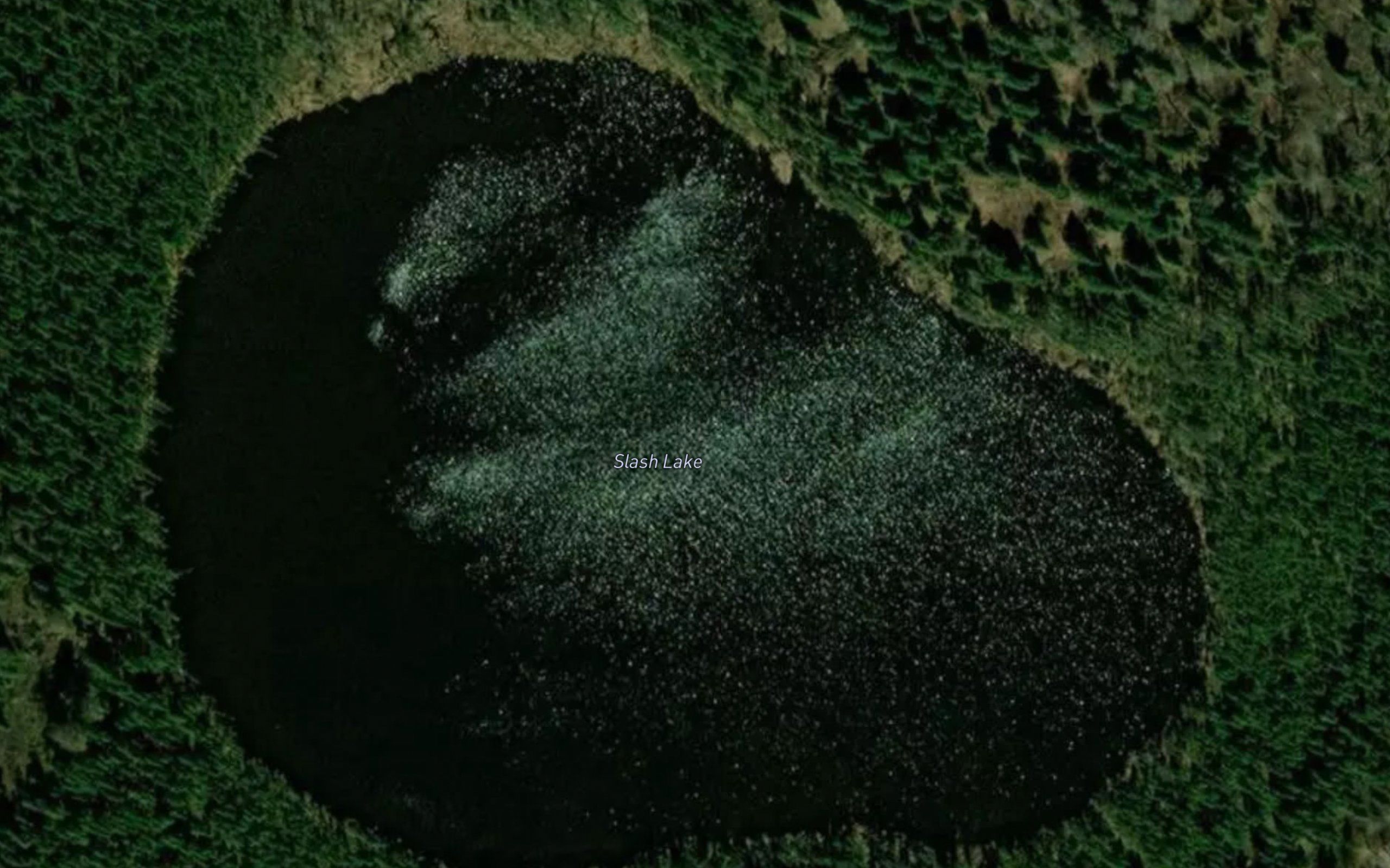 Slash Lake