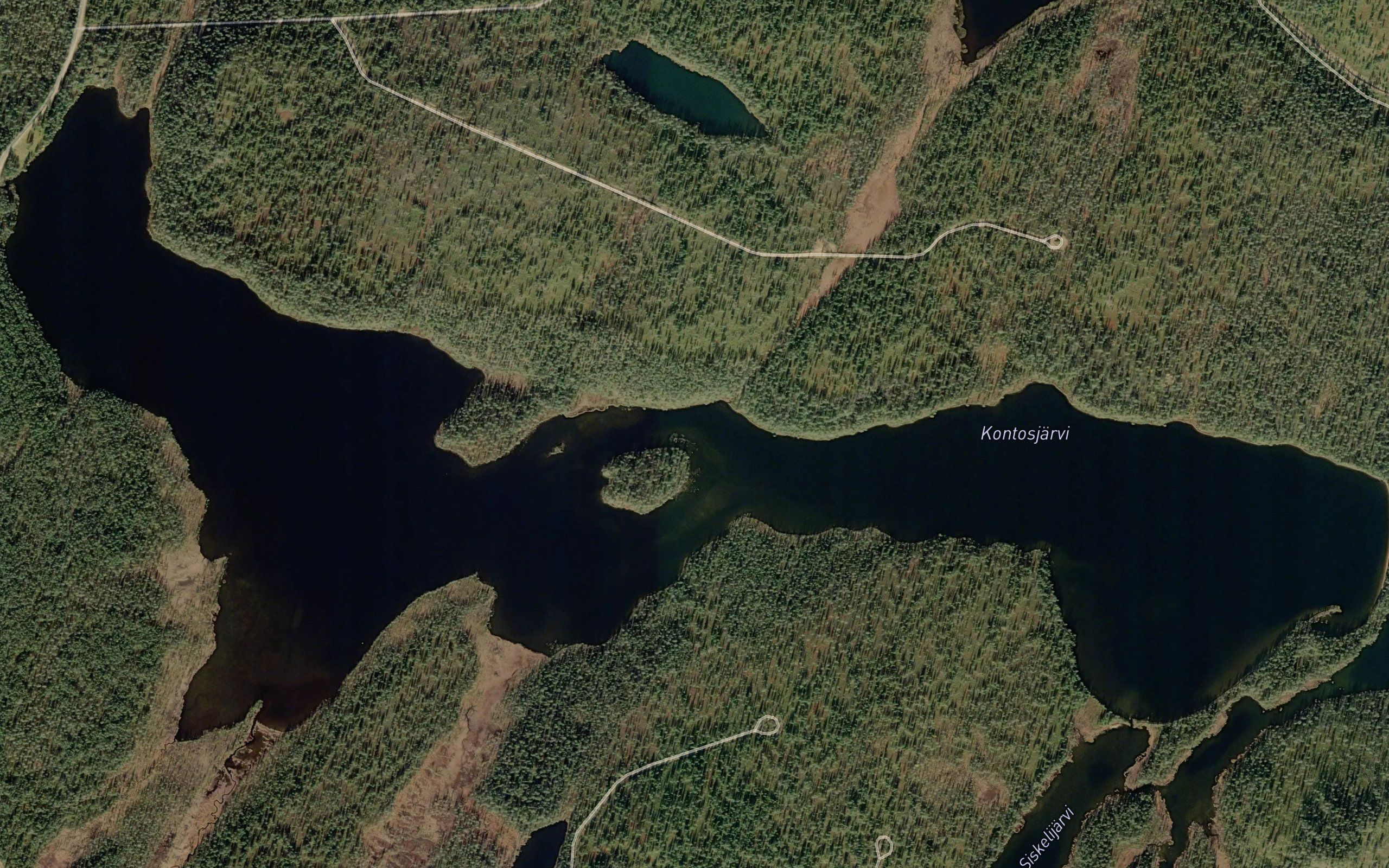 Keinomukka