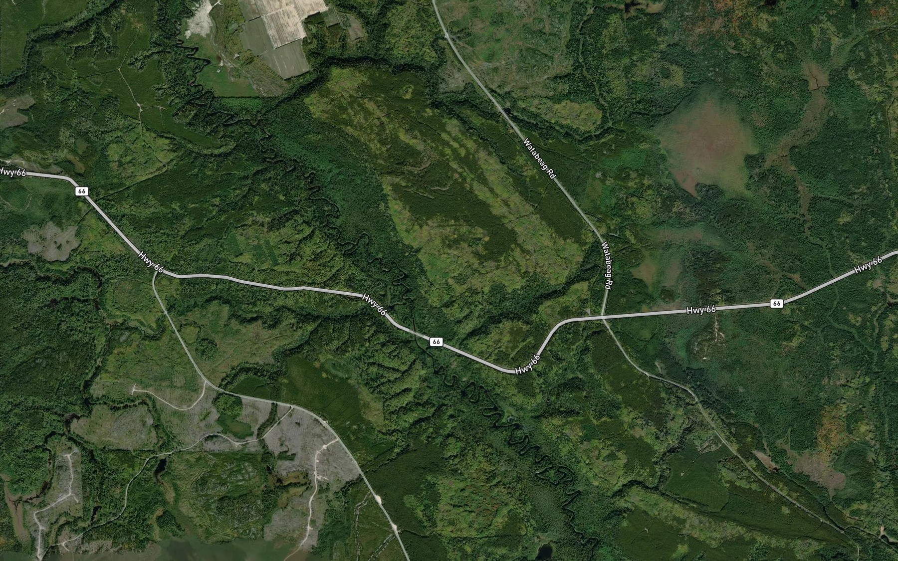 Satellite map of the Flavelle Creek