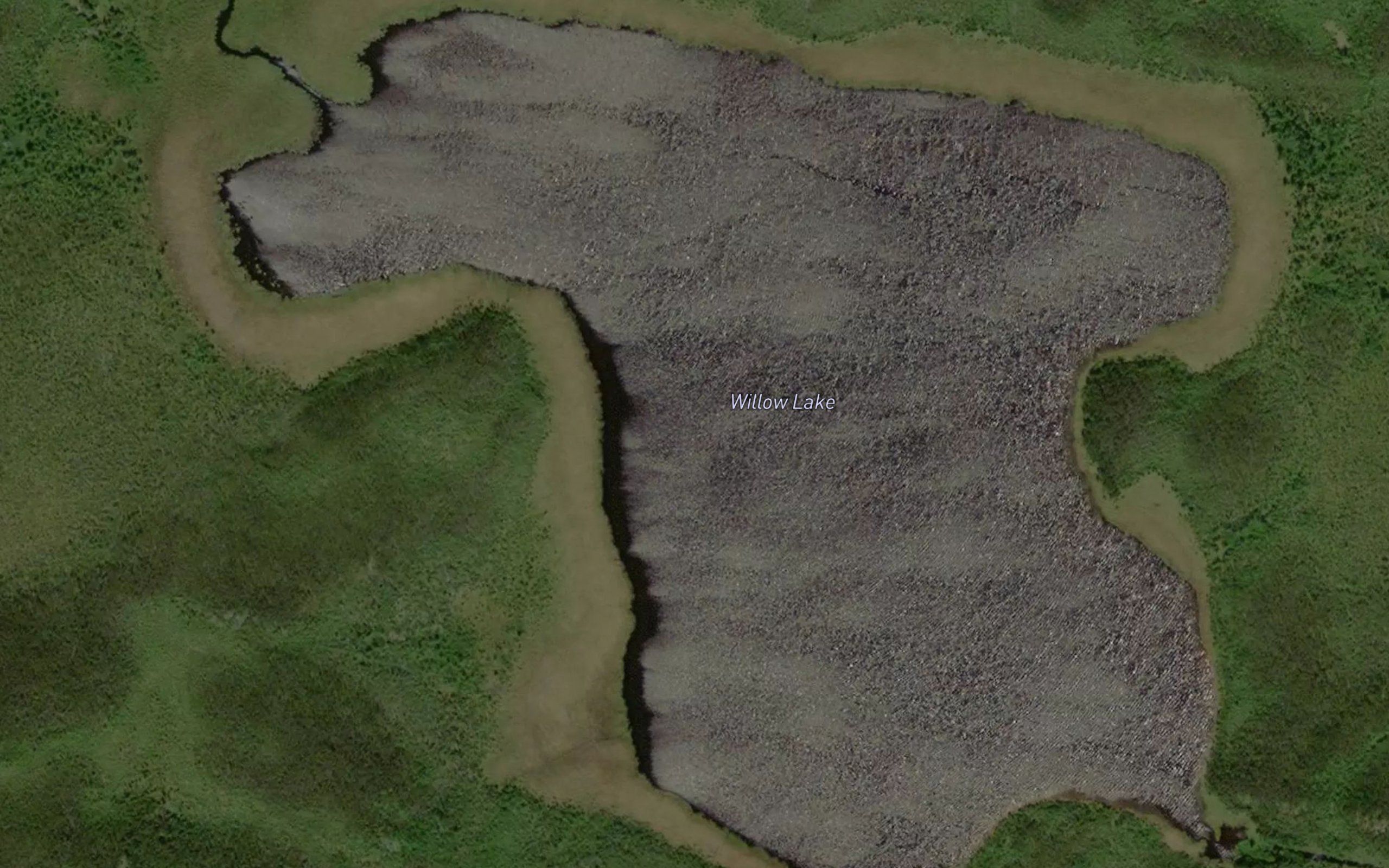 Willow Lake