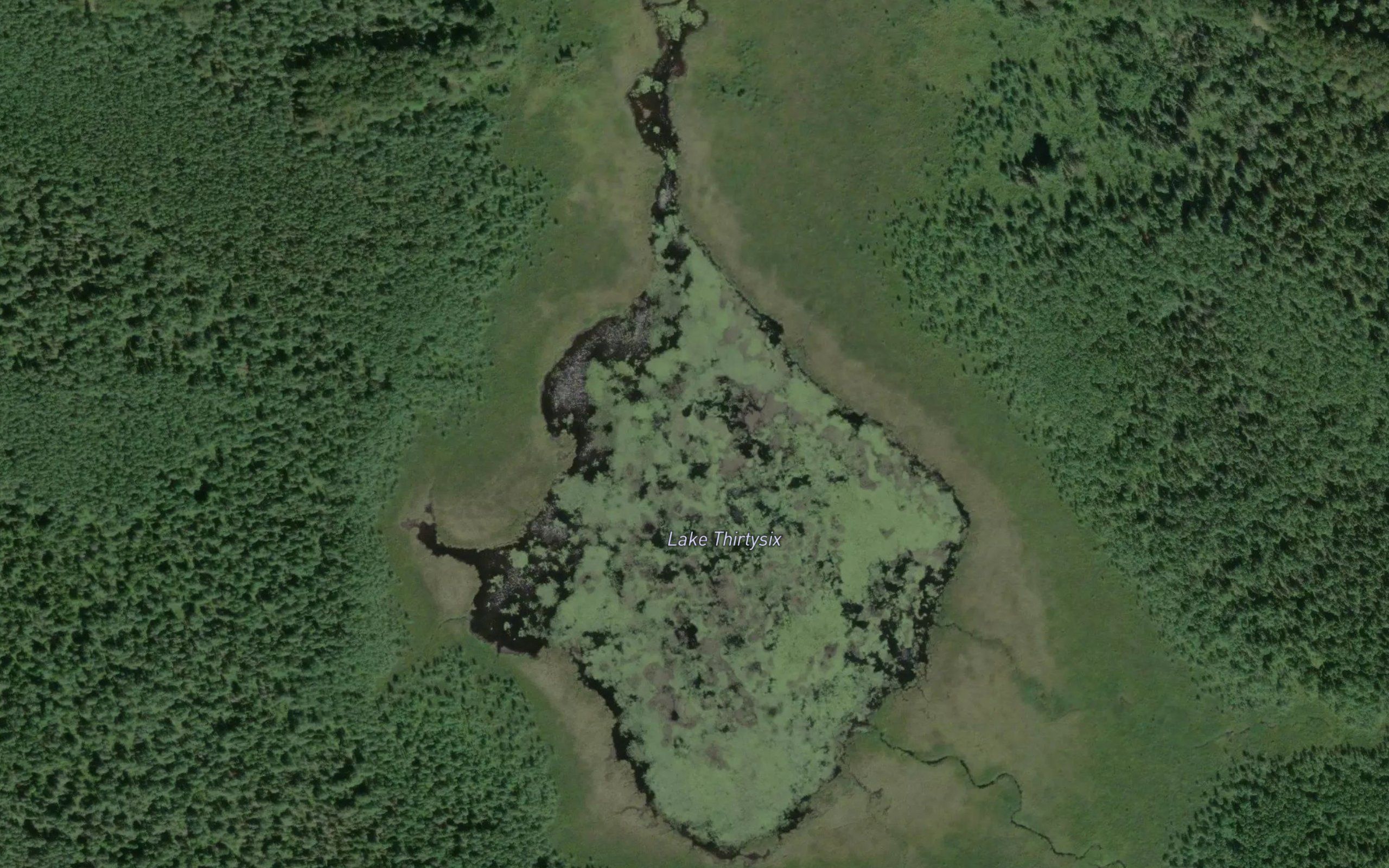 Lake Thirtysix