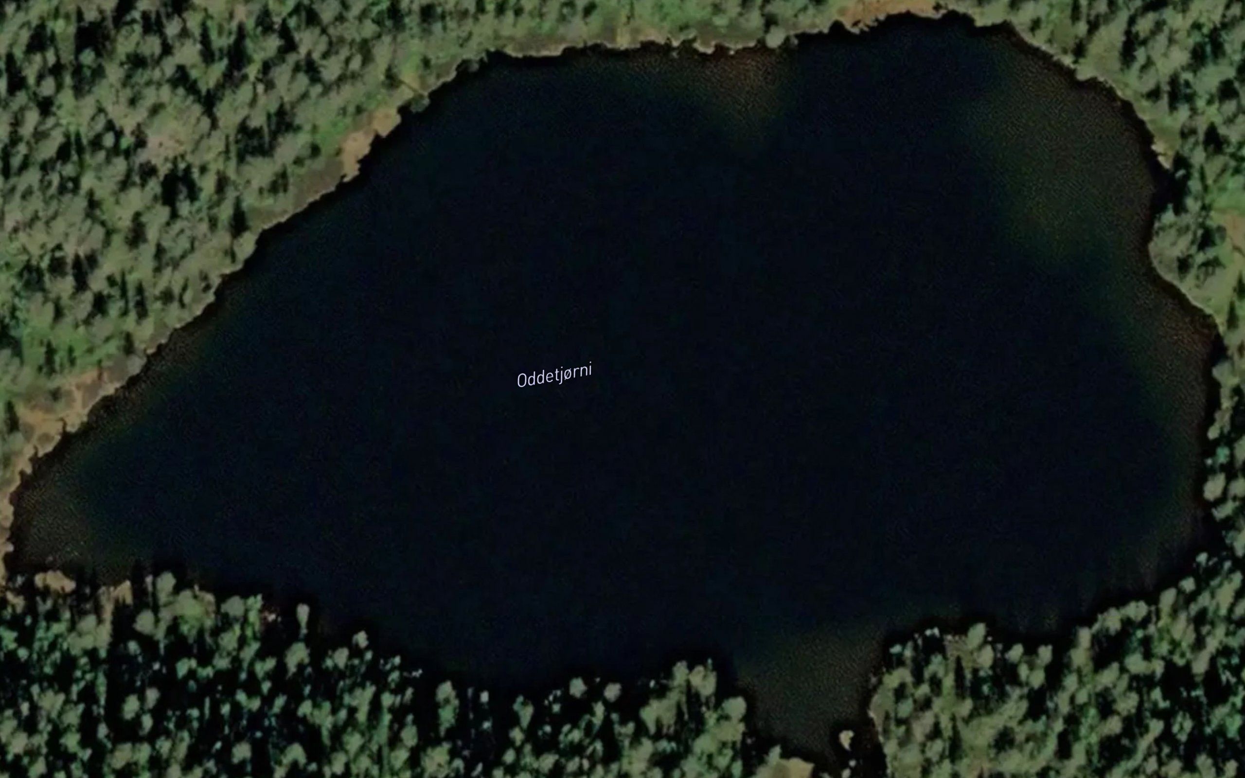 Oddetjorn