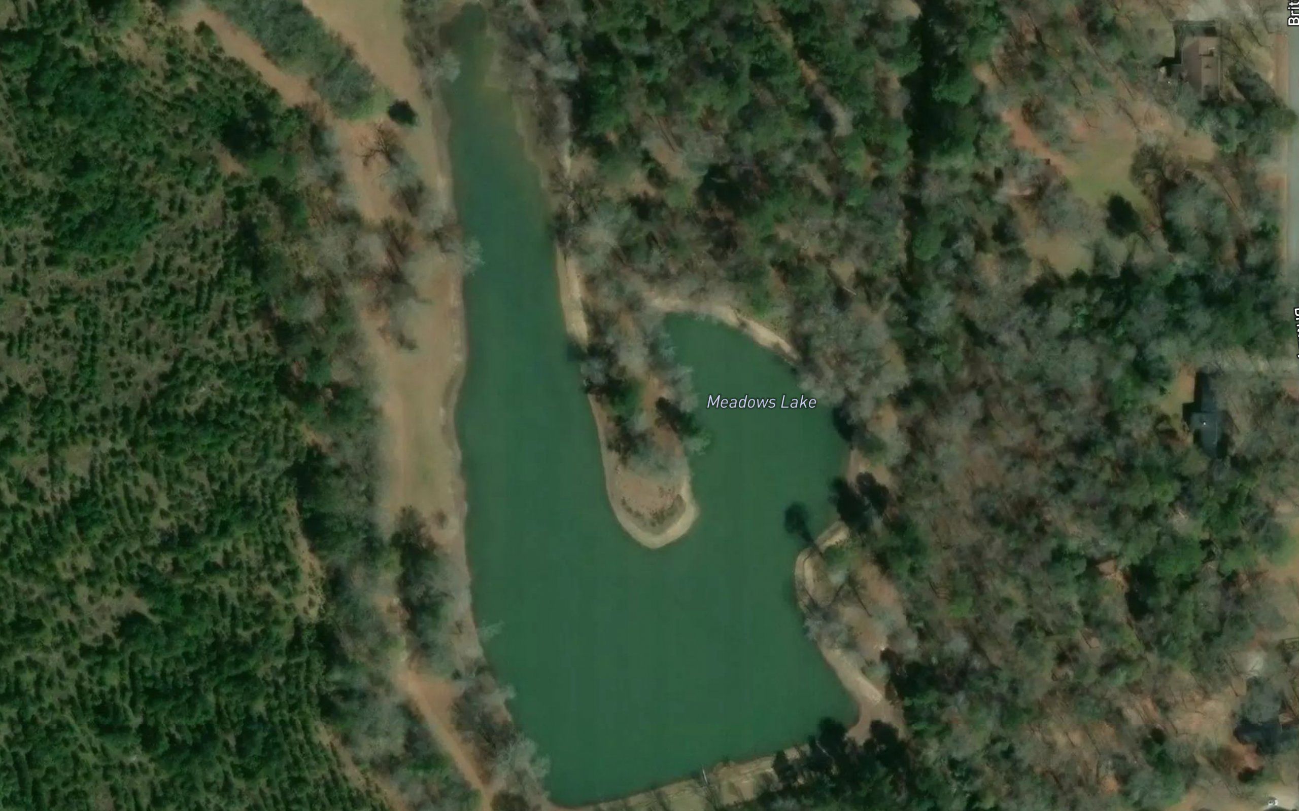 Meadows Lake