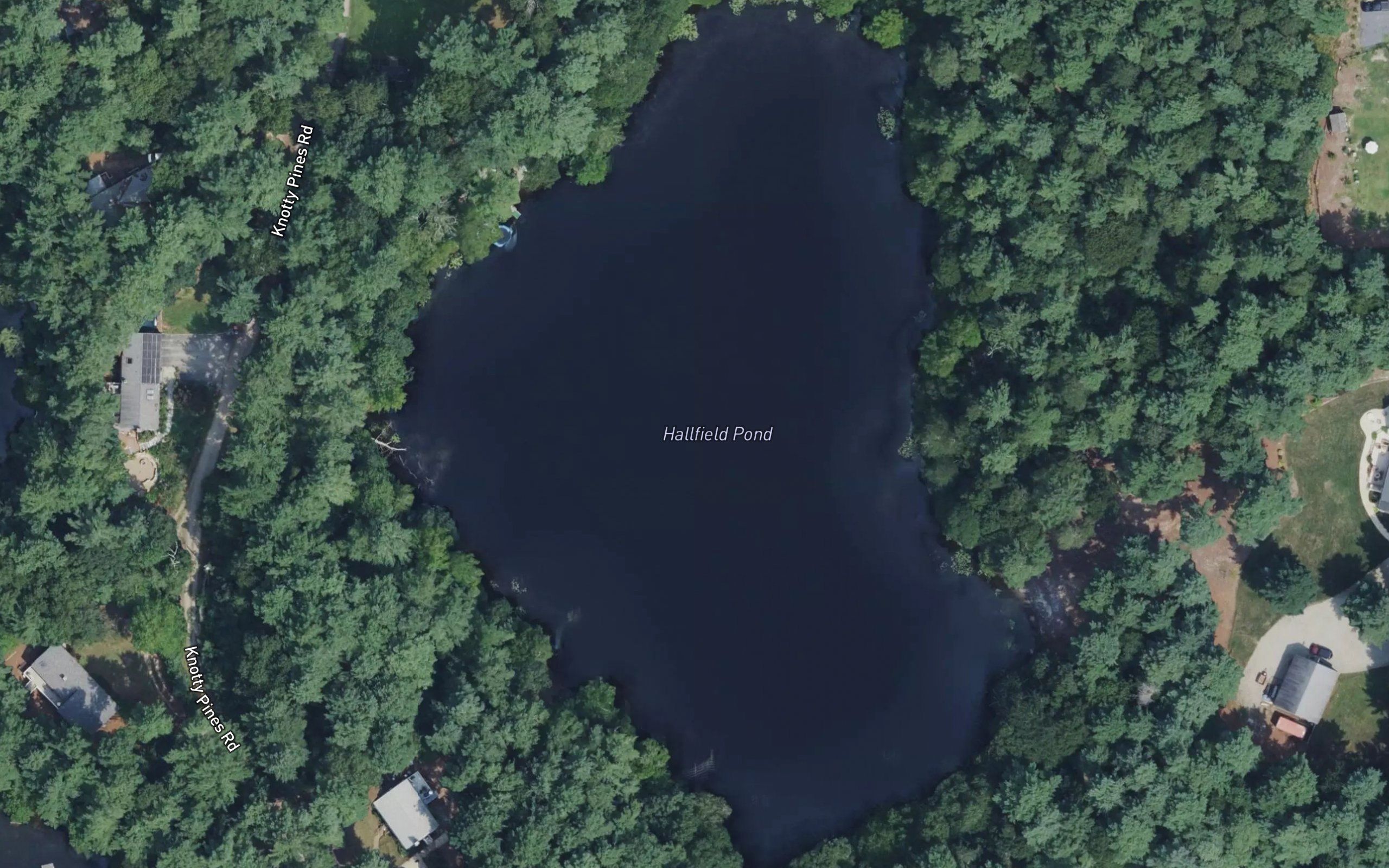 Hallfield Pond