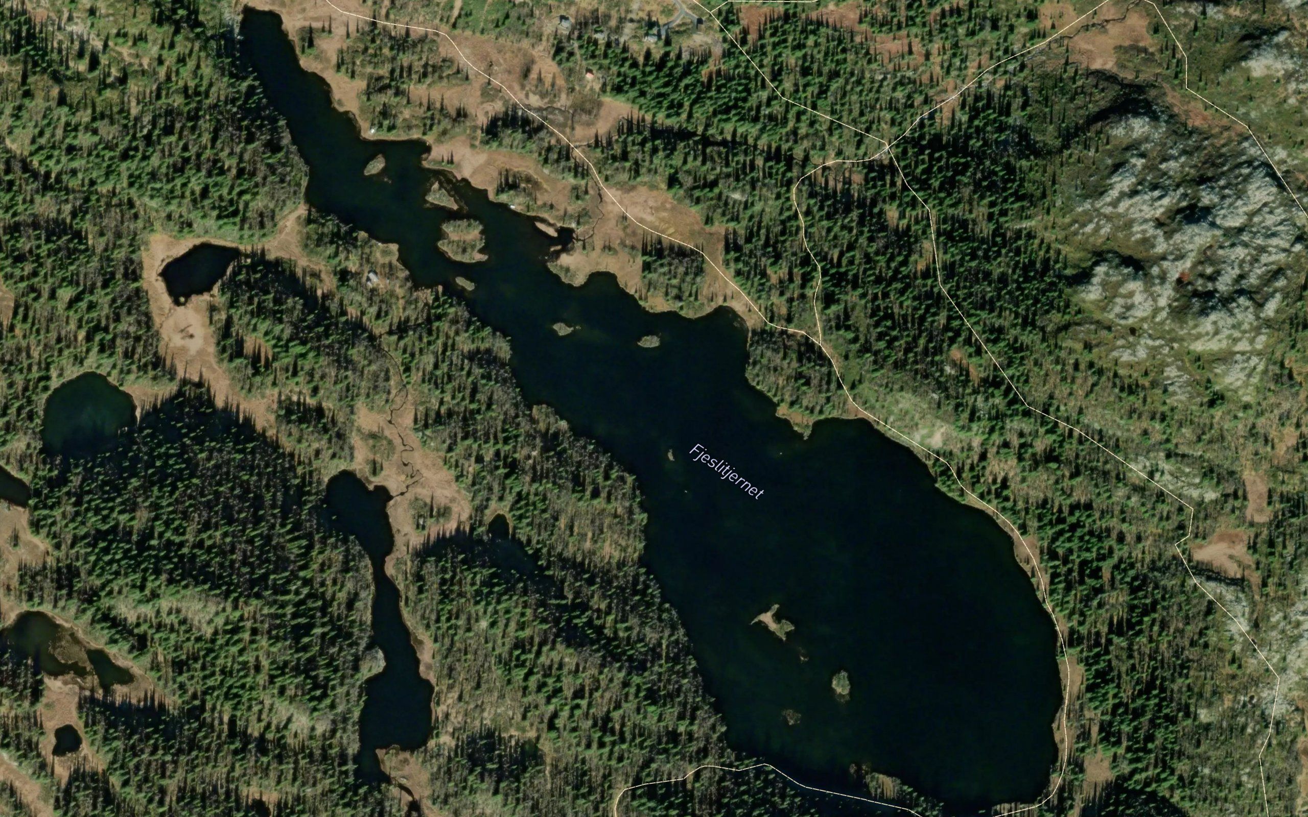 Fjeslitjernet