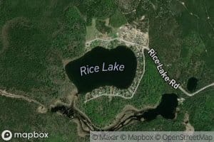 Rice Lake
