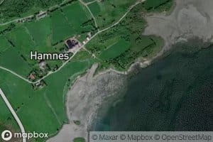 Tommerosen