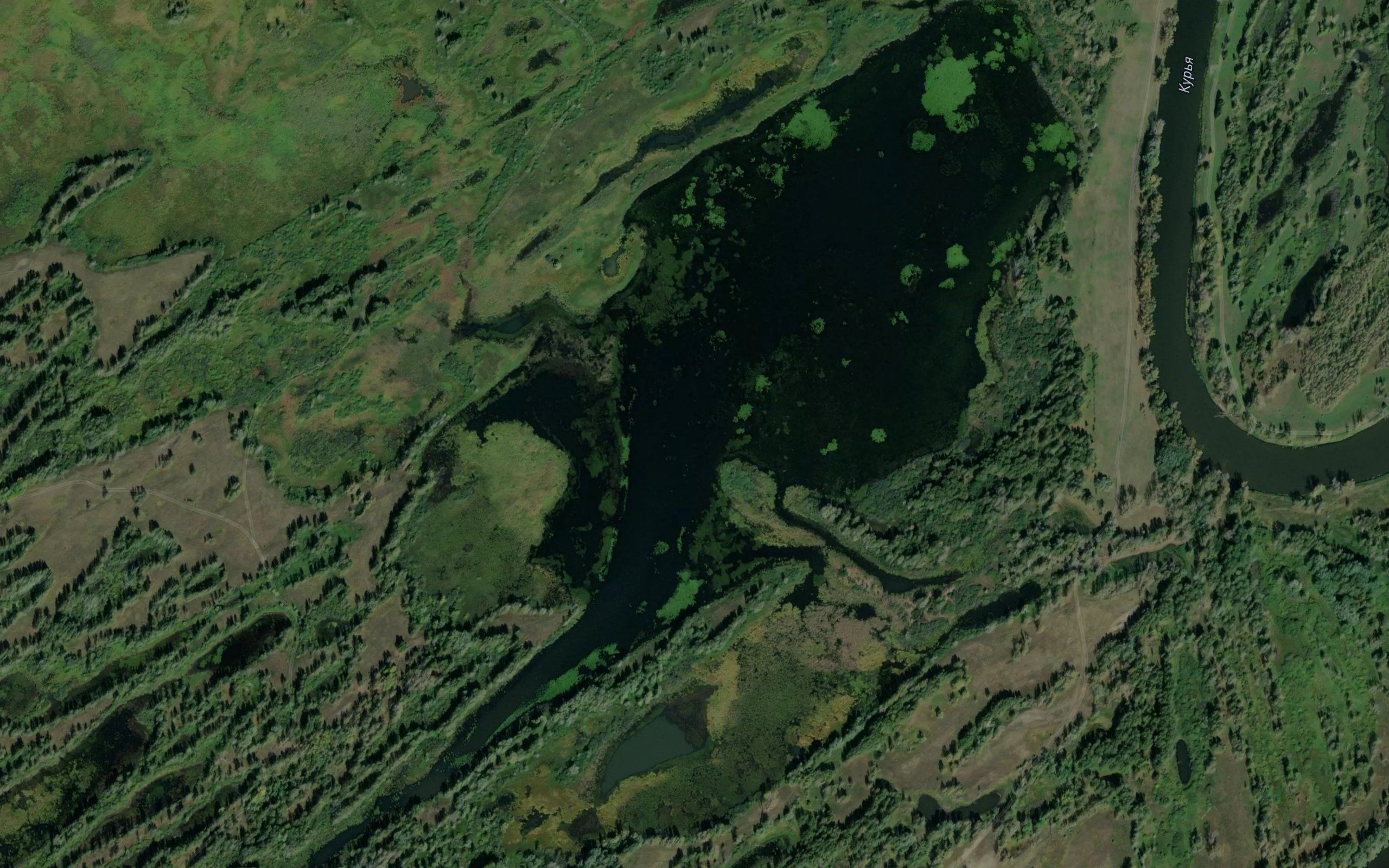 Ozero Ragul'noye