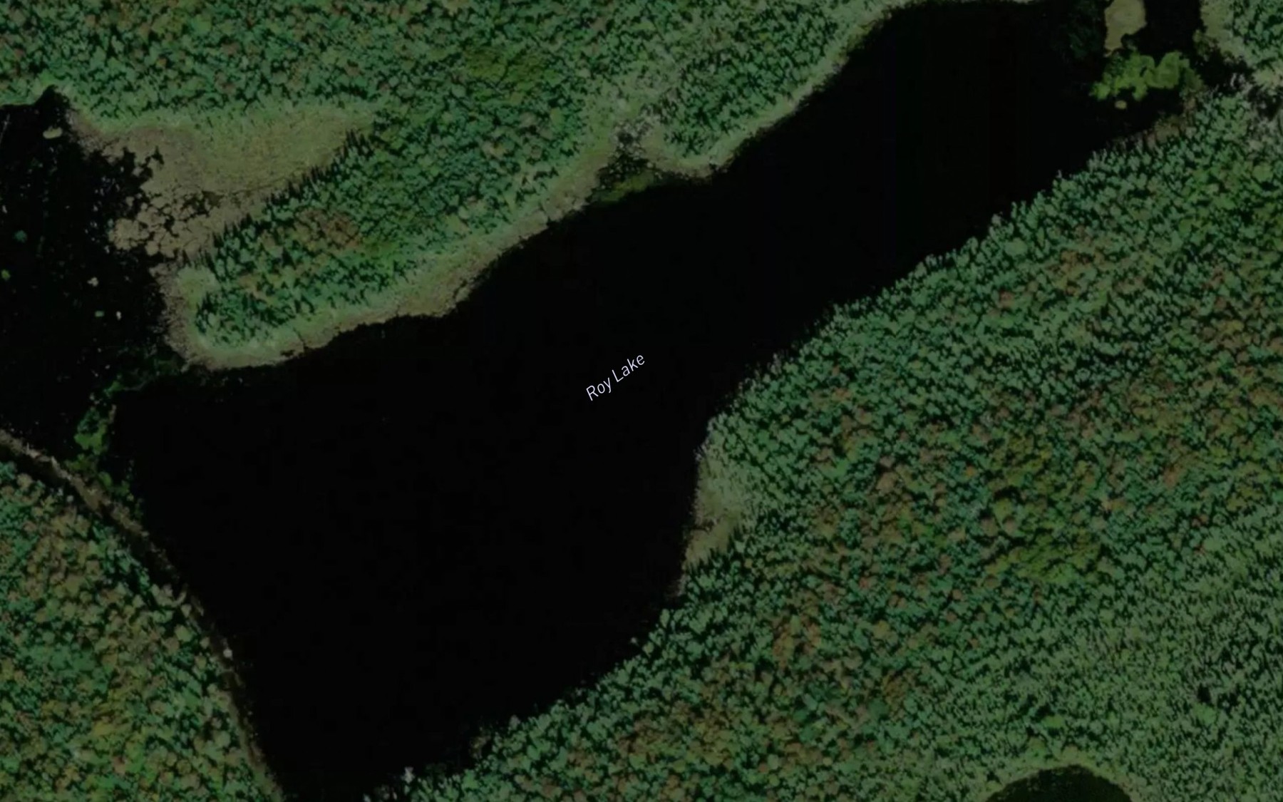 Satellite map of the Roy Lake