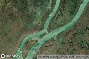 Branching River