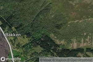 Storegylselva