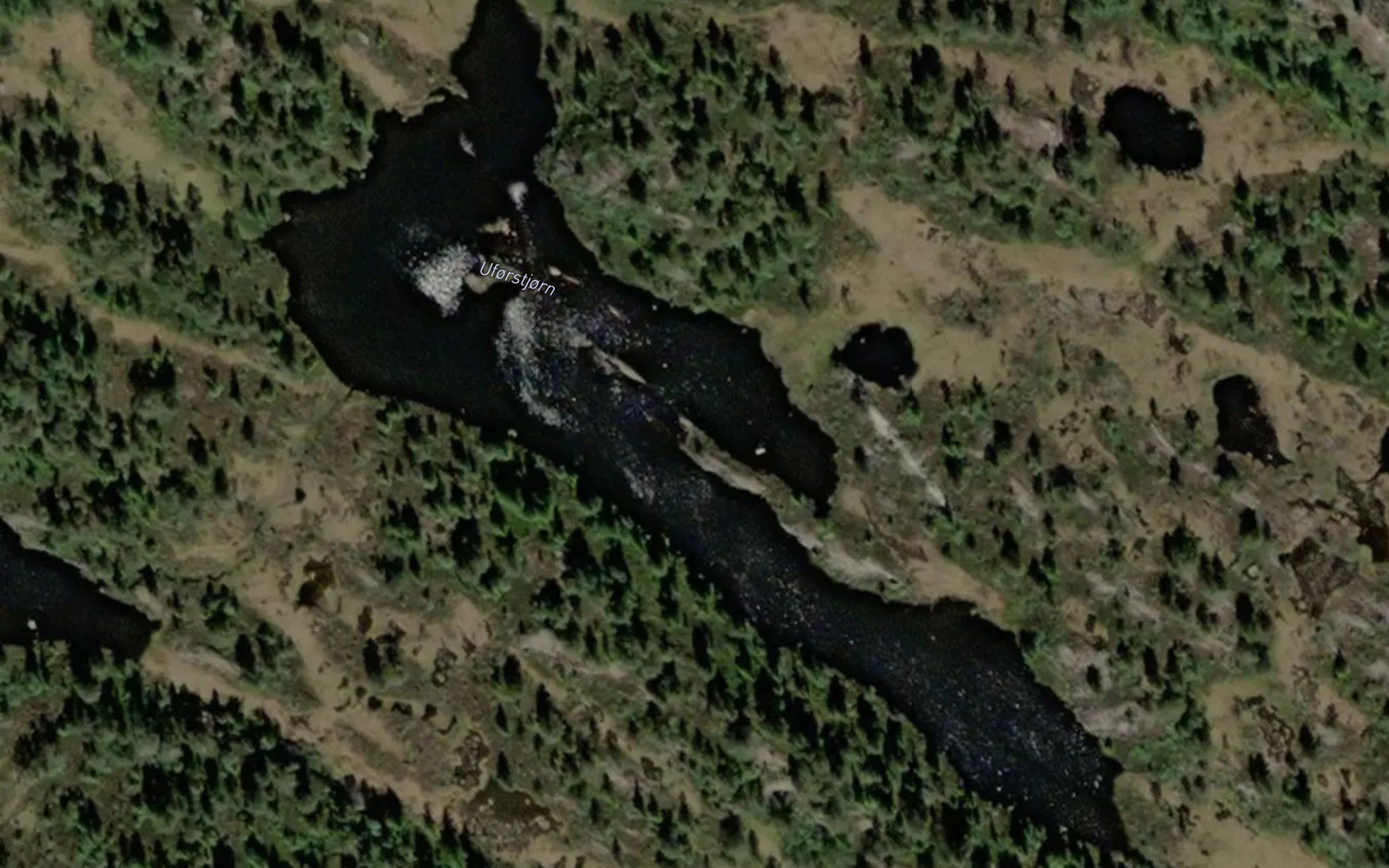 Uforstjorn