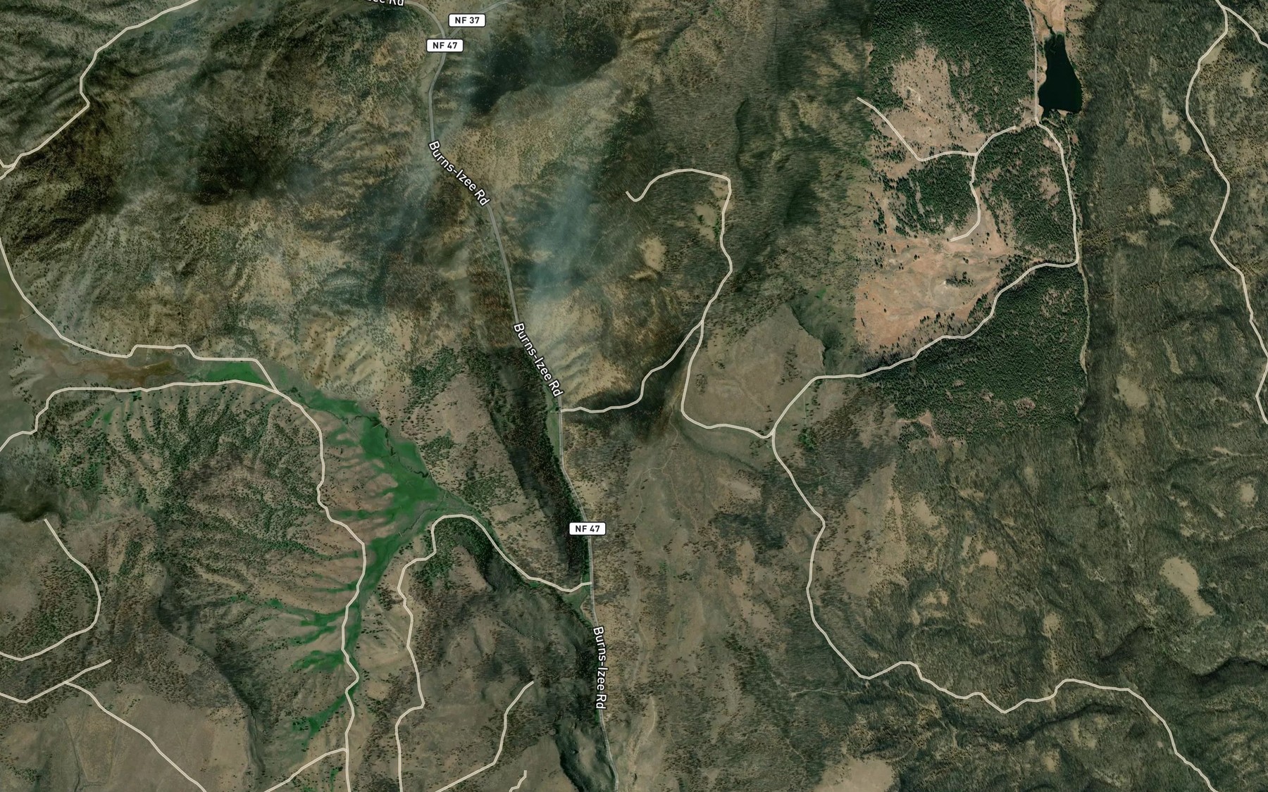 Satellite map of the Finke Spring