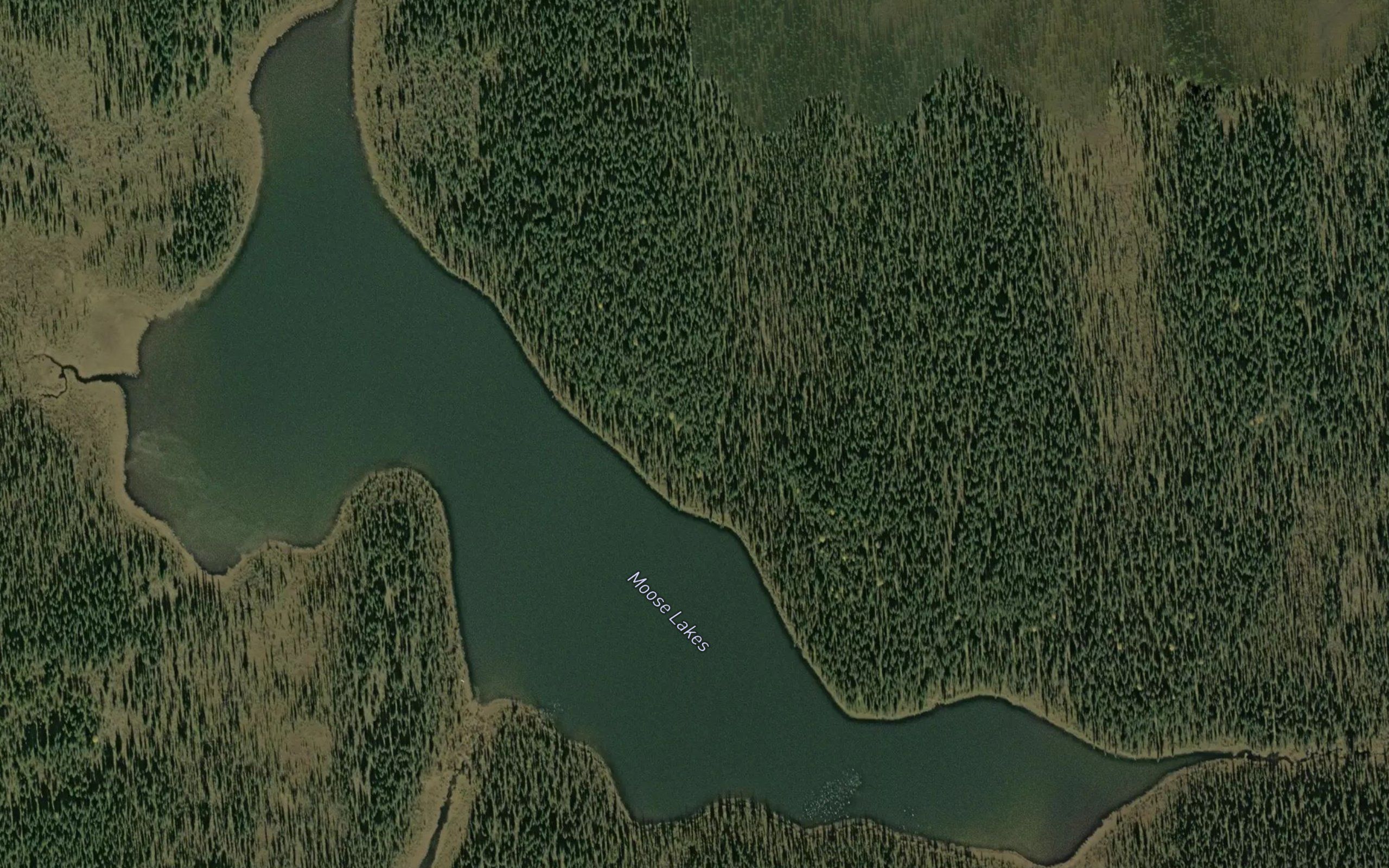 Moose Lakes