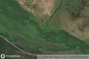 Mangutskaya Shonichi