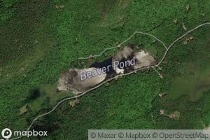 Beaver Pond